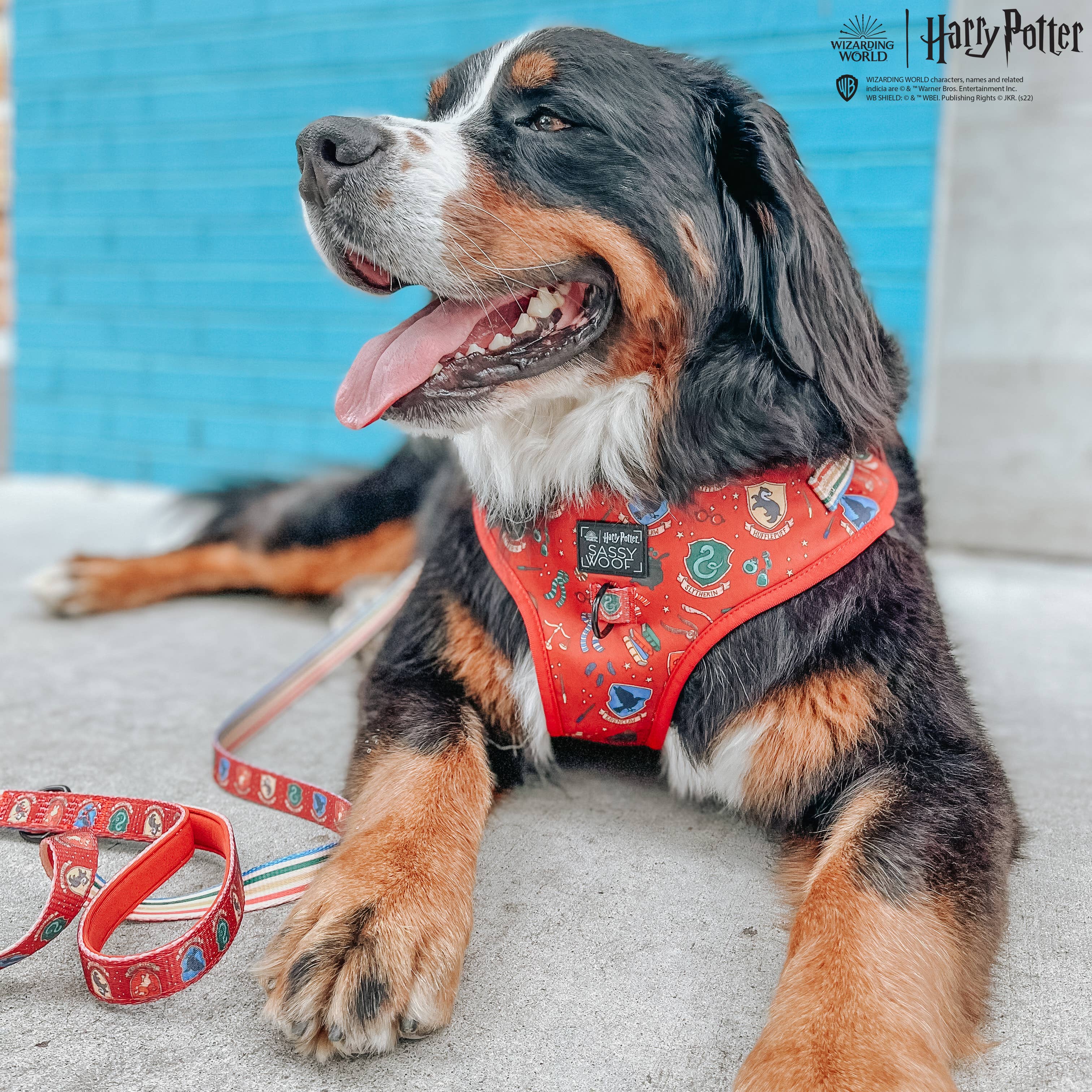 SASSY WOOF - Dog Adjustable Harness - Harry Potter: XXS