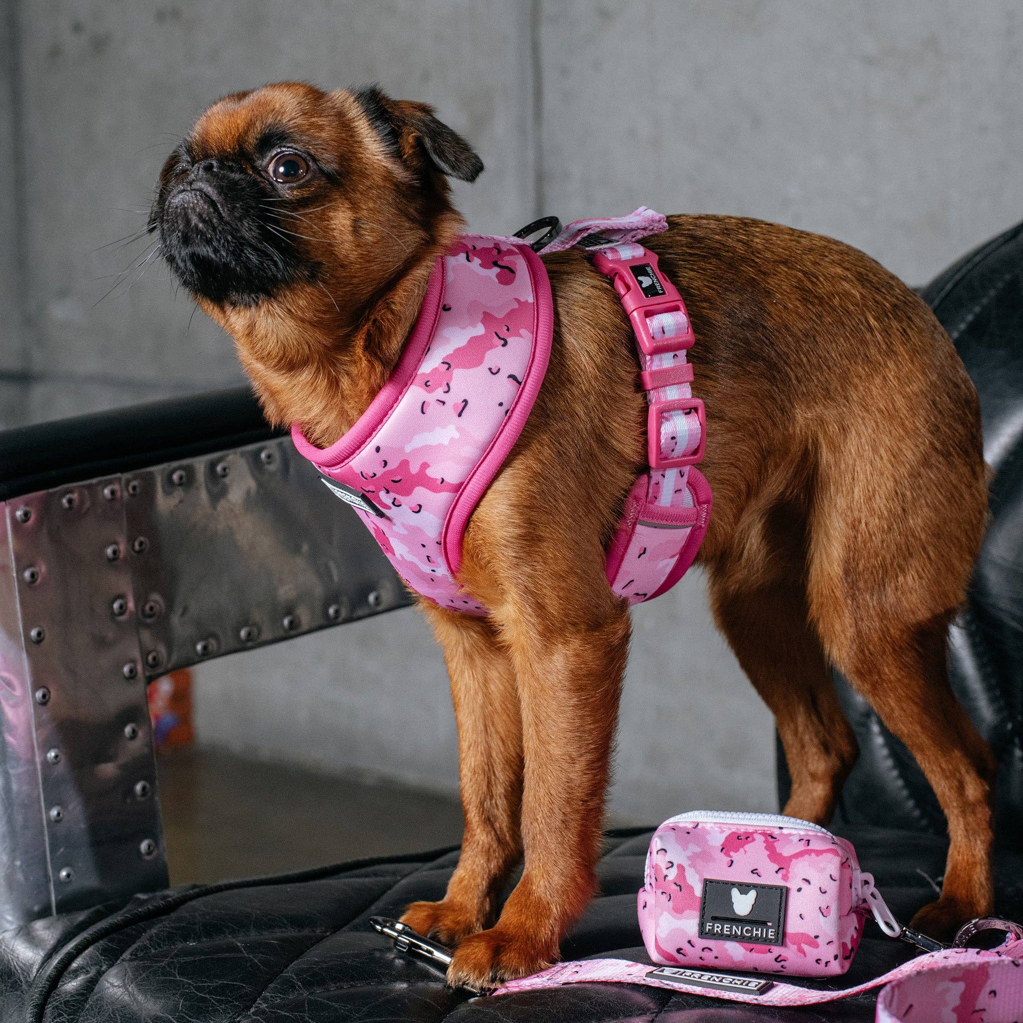 Frenchie - Frenchie Duo Reversible Harness - Desert Camo (Pink): XS