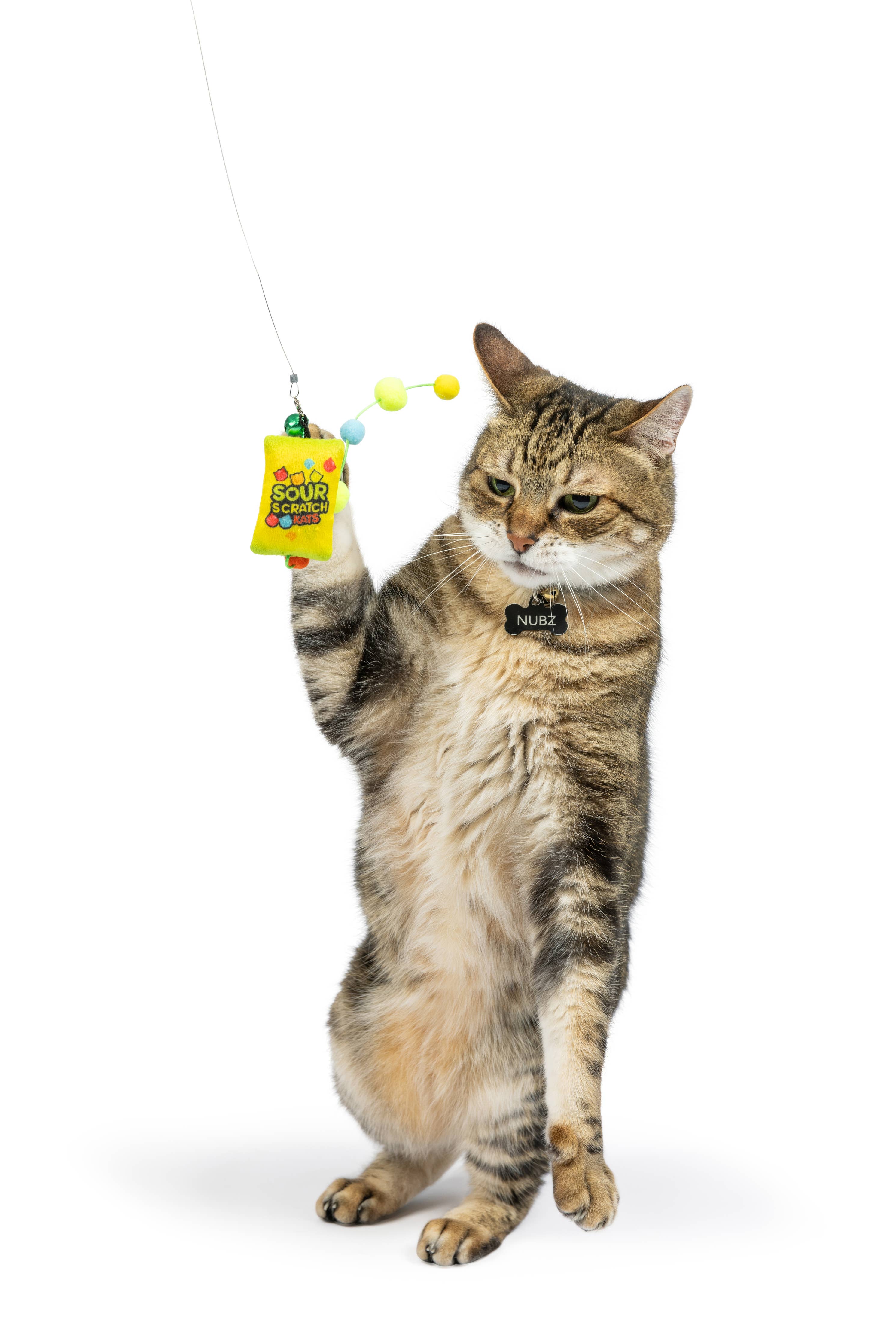 Huxley & Kent - Teaser Sour Scratch Wand Cat Toy: One Size