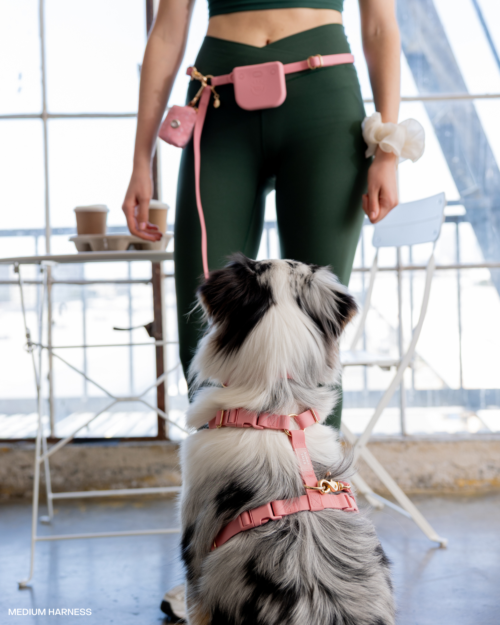 SUNNY TAILS - Perfect Pink 4-in-1 Convertible Hands Free Cloud Dog Leash: Standard