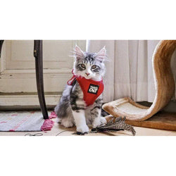 Travel Cat | Your Cat Backpack - "The True Adventurer" Reflective Cat & Kitten Harness: Black / M