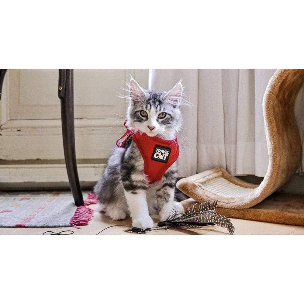 Travel Cat | Your Cat Backpack - "The True Adventurer" Reflective Cat & Kitten Harness: Grey / XS