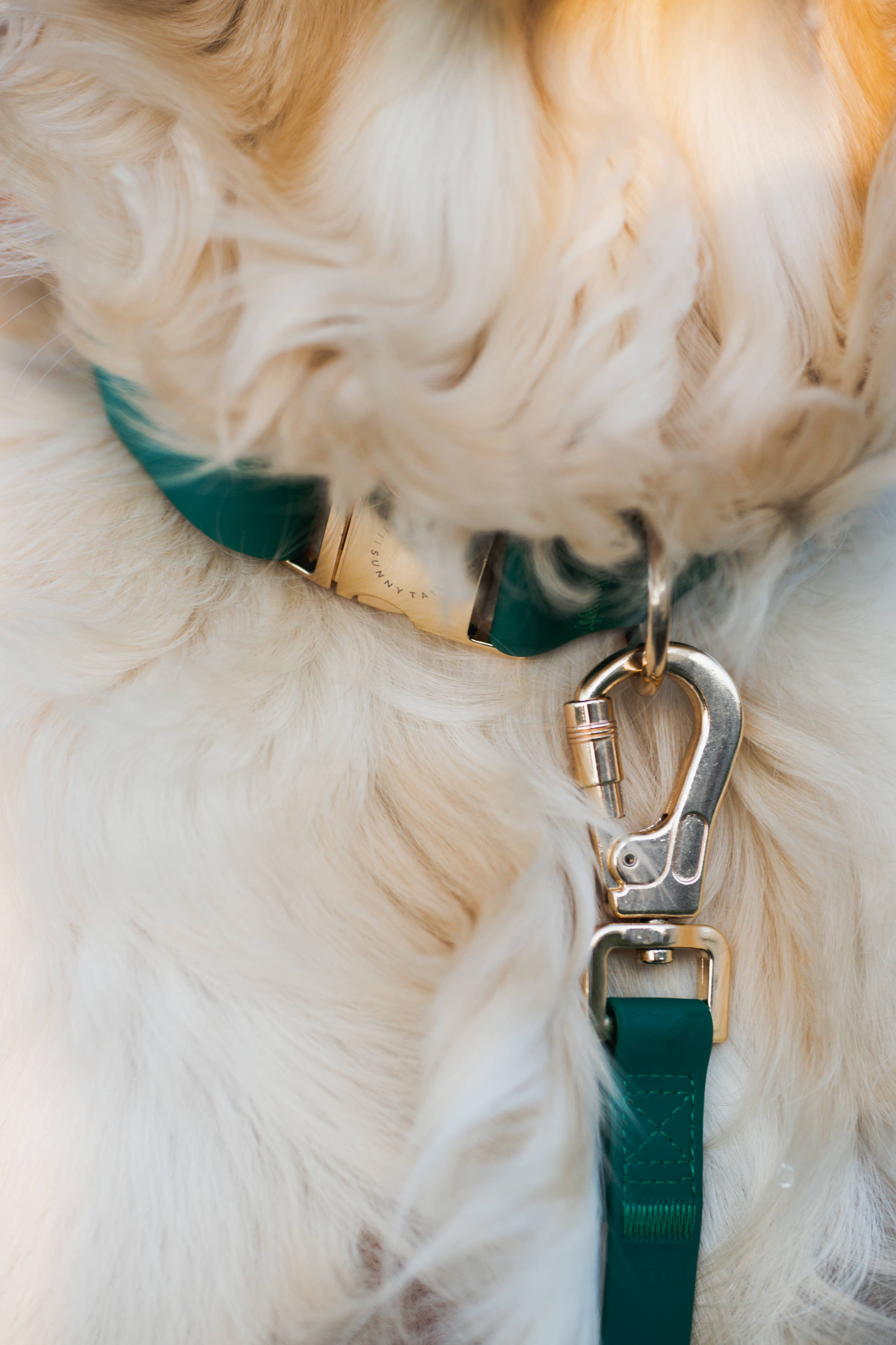 SUNNY TAILS - Meadow Green Waterproof Dog Collar: SMALL
