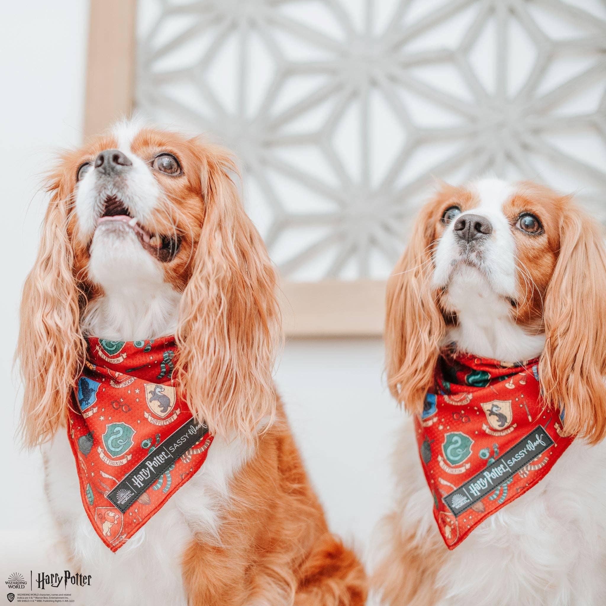 SASSY WOOF - Dog Bandana - Harry Potter™: Medium