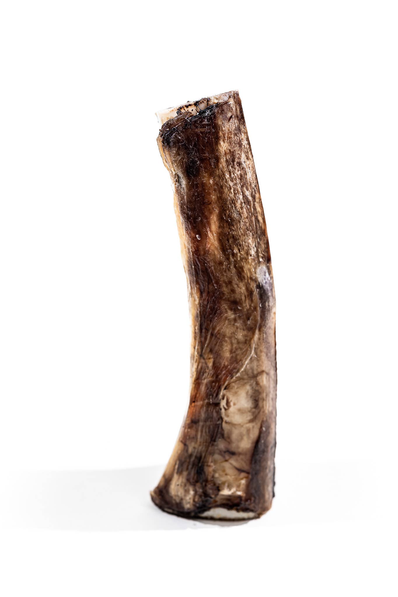 Winnie Lou - The Canine Co. - Bison Marrow Bone - 6-8"