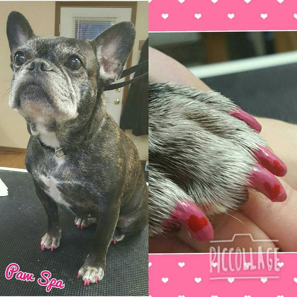 Cardboard Display with 18 Nail Polish Pens - Basic Colors