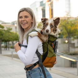 K9 Sport Sack - Urban 3: Large (20"-23" from collar to tail) / Leafy