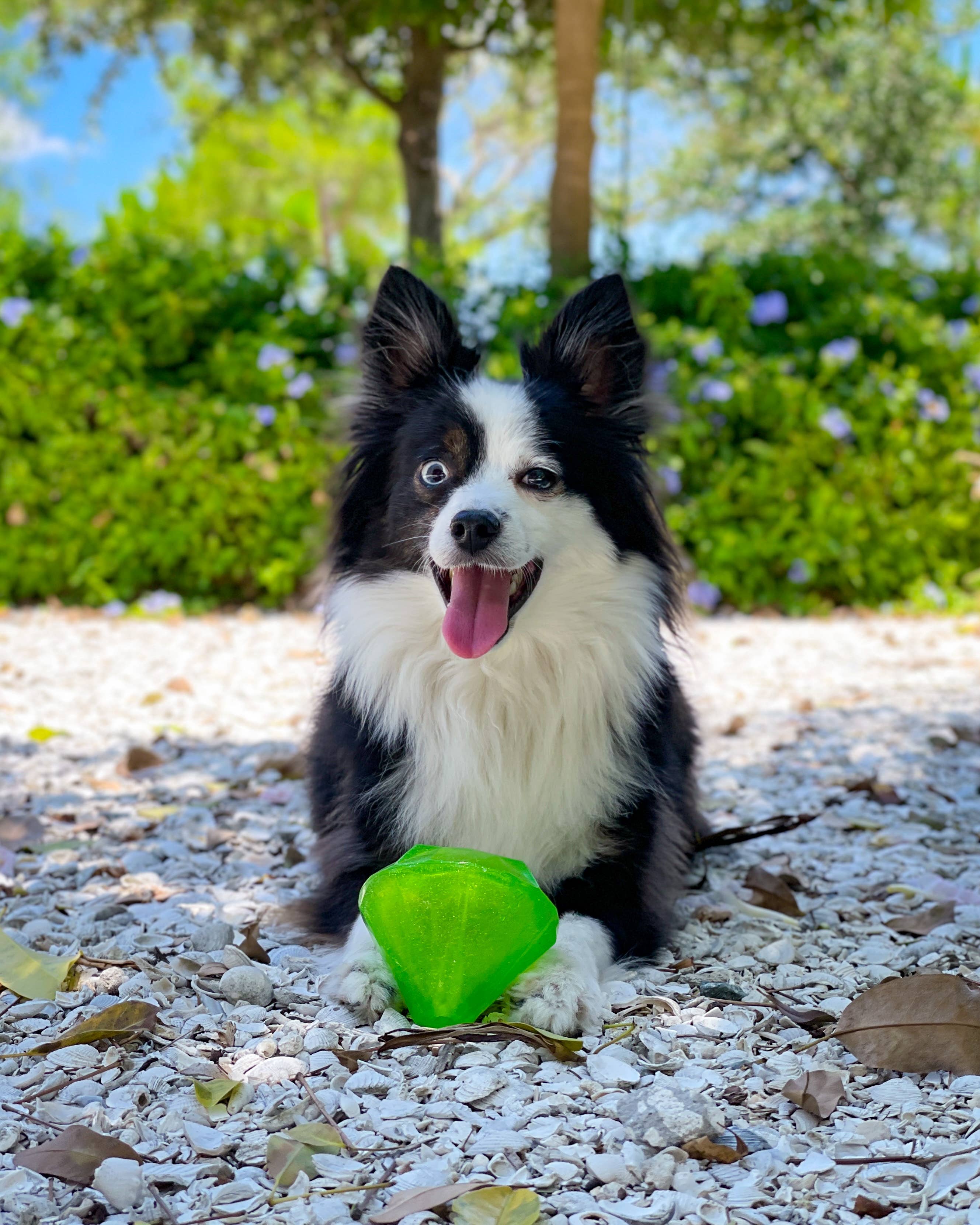 Spunky Pup - Squeaky Gems! - Diamond and Heart Squeakers: Heart