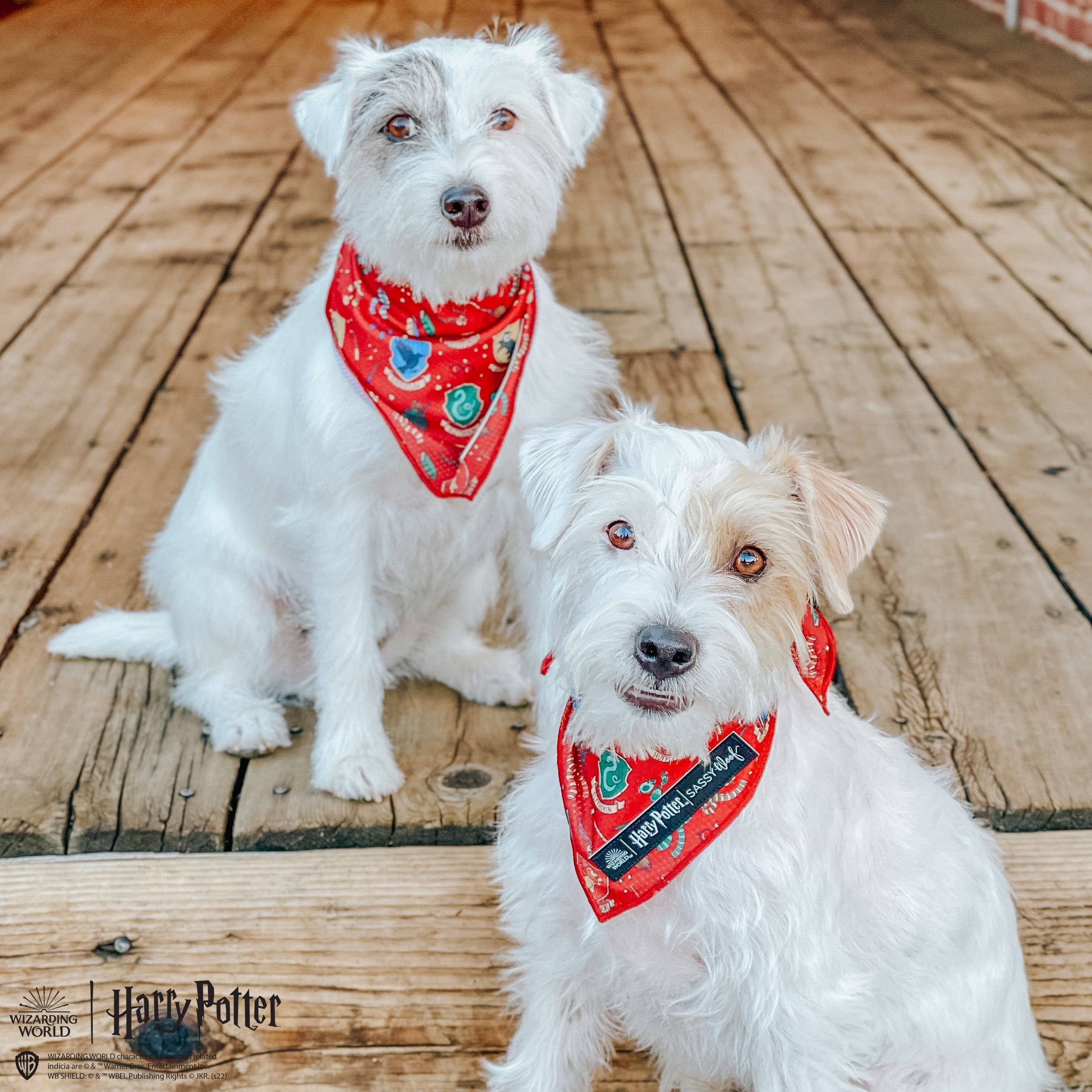 SASSY WOOF - Dog Bandana - Harry Potter™: Medium