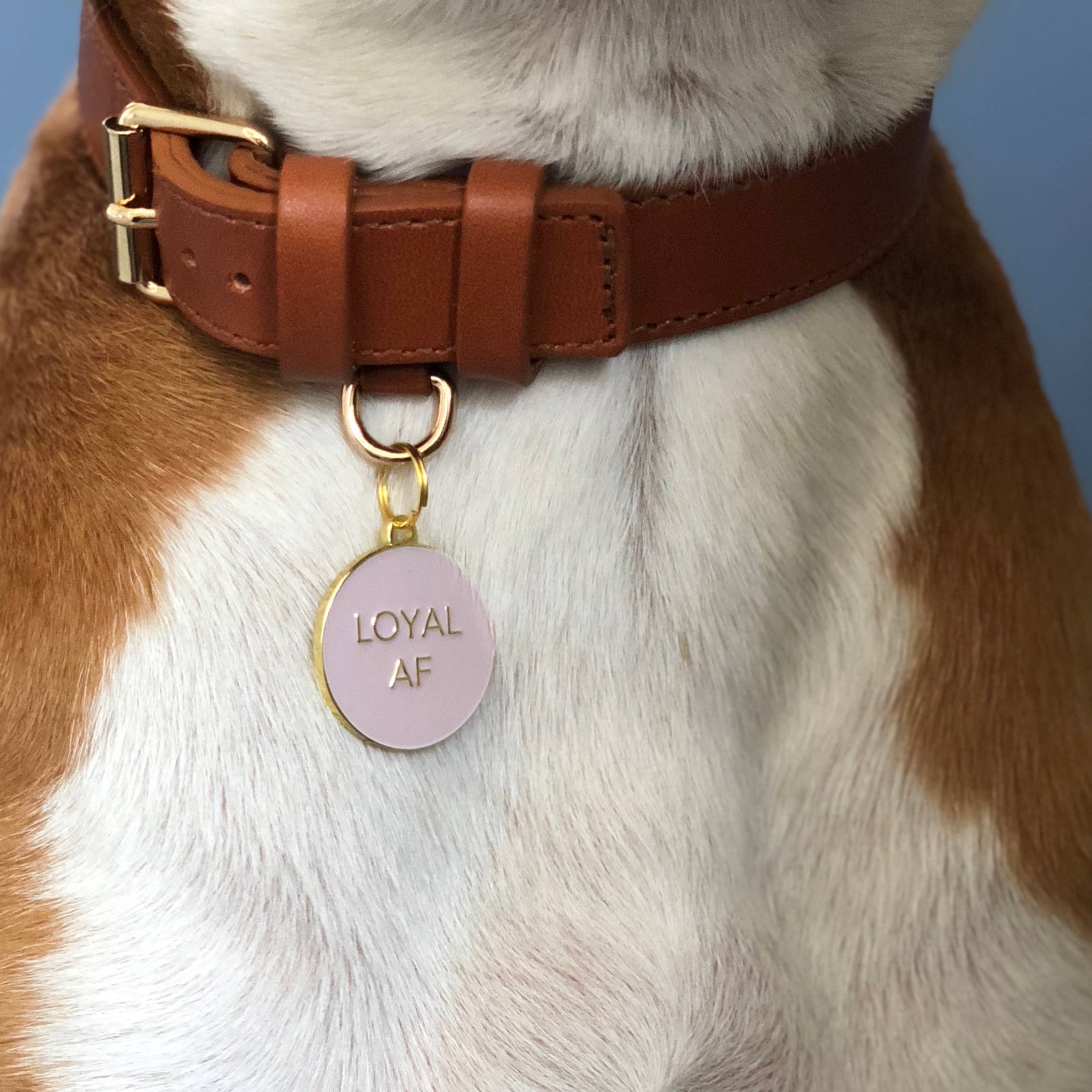 Loyal AF Pet ID Tag: Pink