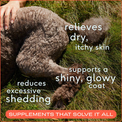 Native Pet - Omega-3 Fish Oil, Skin & Coat Health Supplement for Dogs: 16 oz