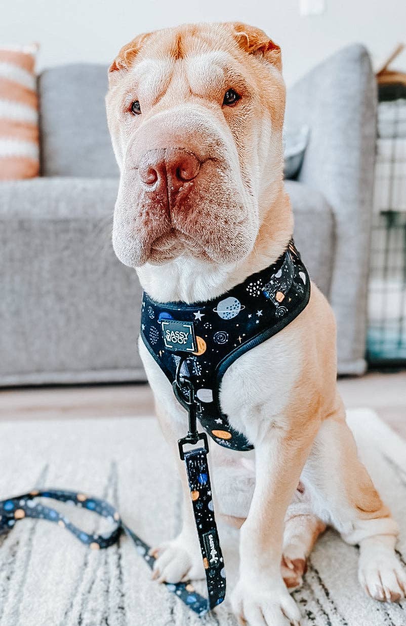 SASSY WOOF - Dog Leash - To the Stars and Beyond