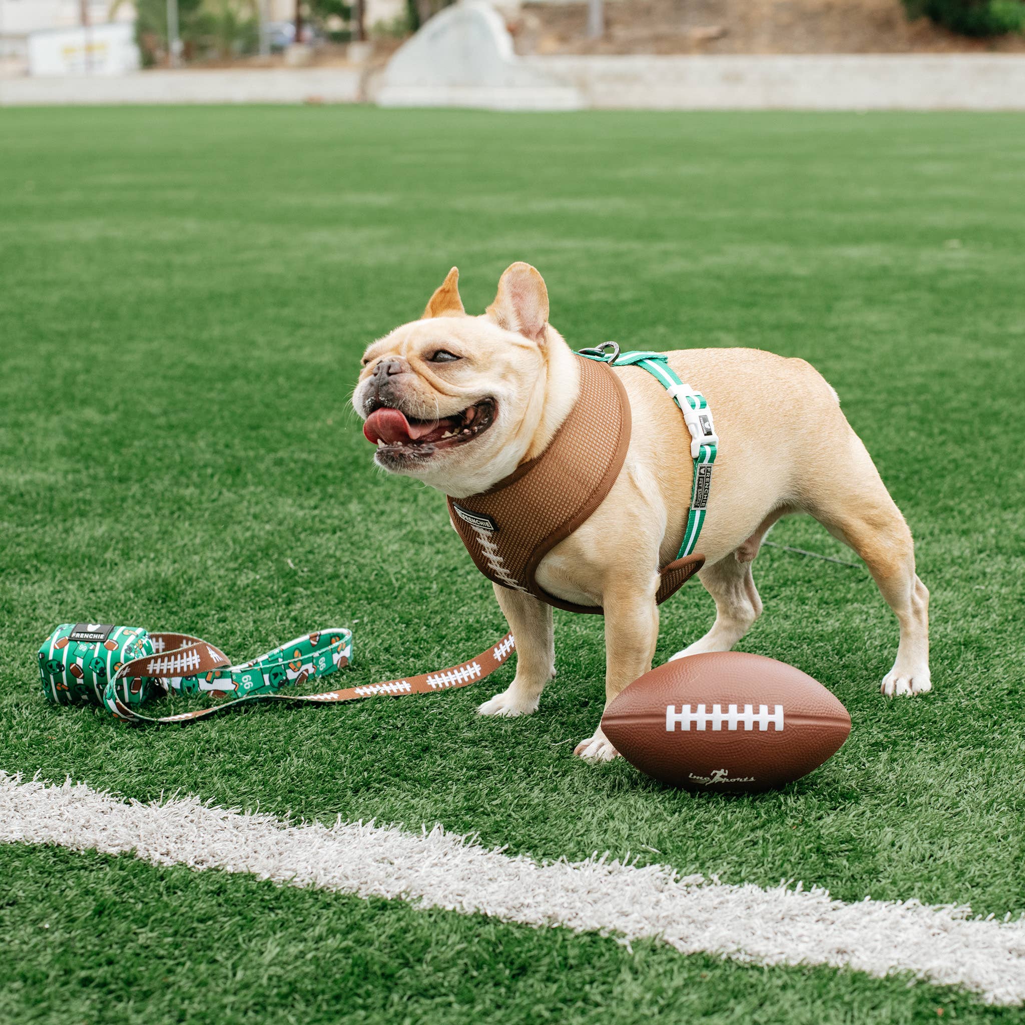 Frenchie - Frenchie Duo Reversible Harness - Touchdown: Medium