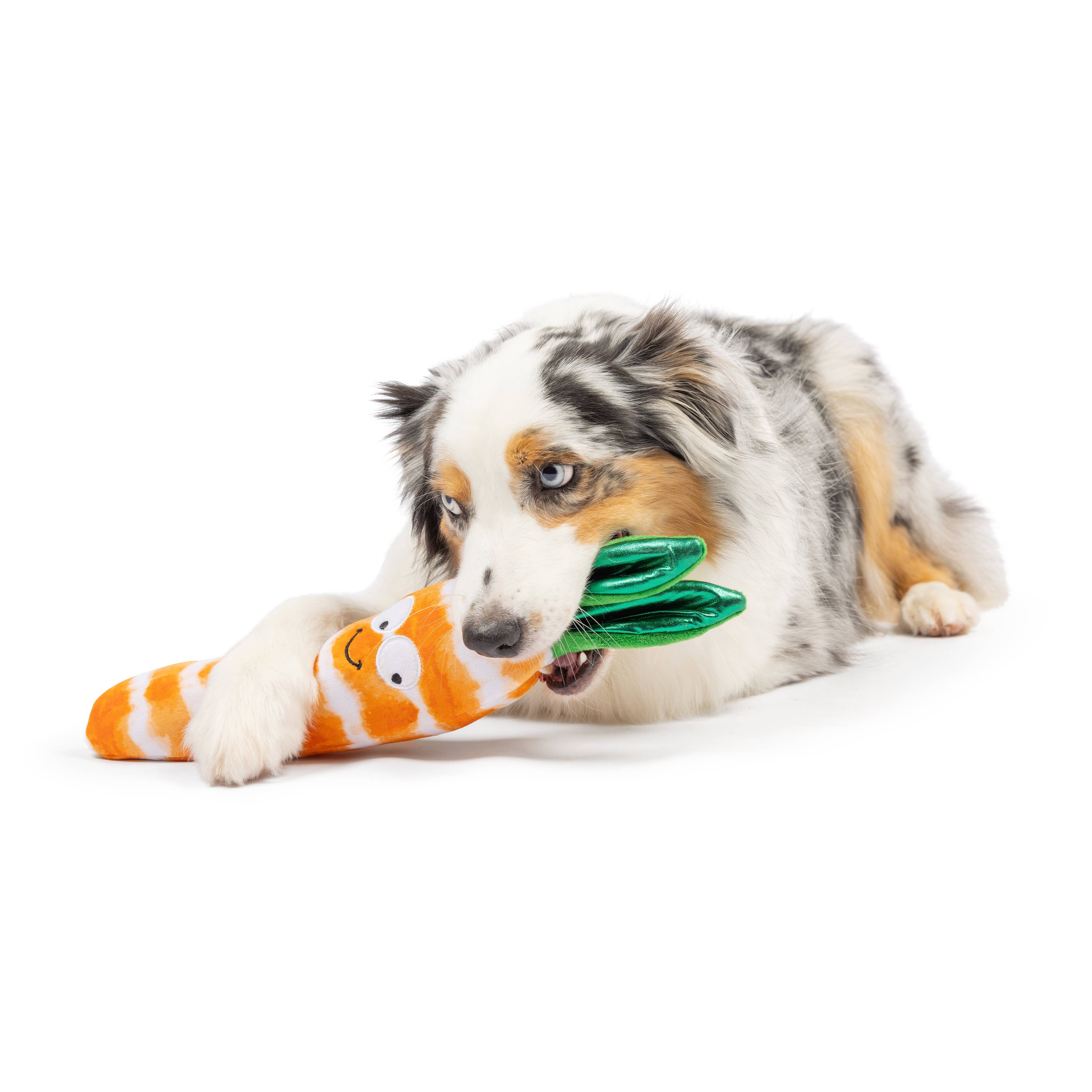 Huxley & Kent - Fetchies® Sweet Carrot Dog Toy: Large