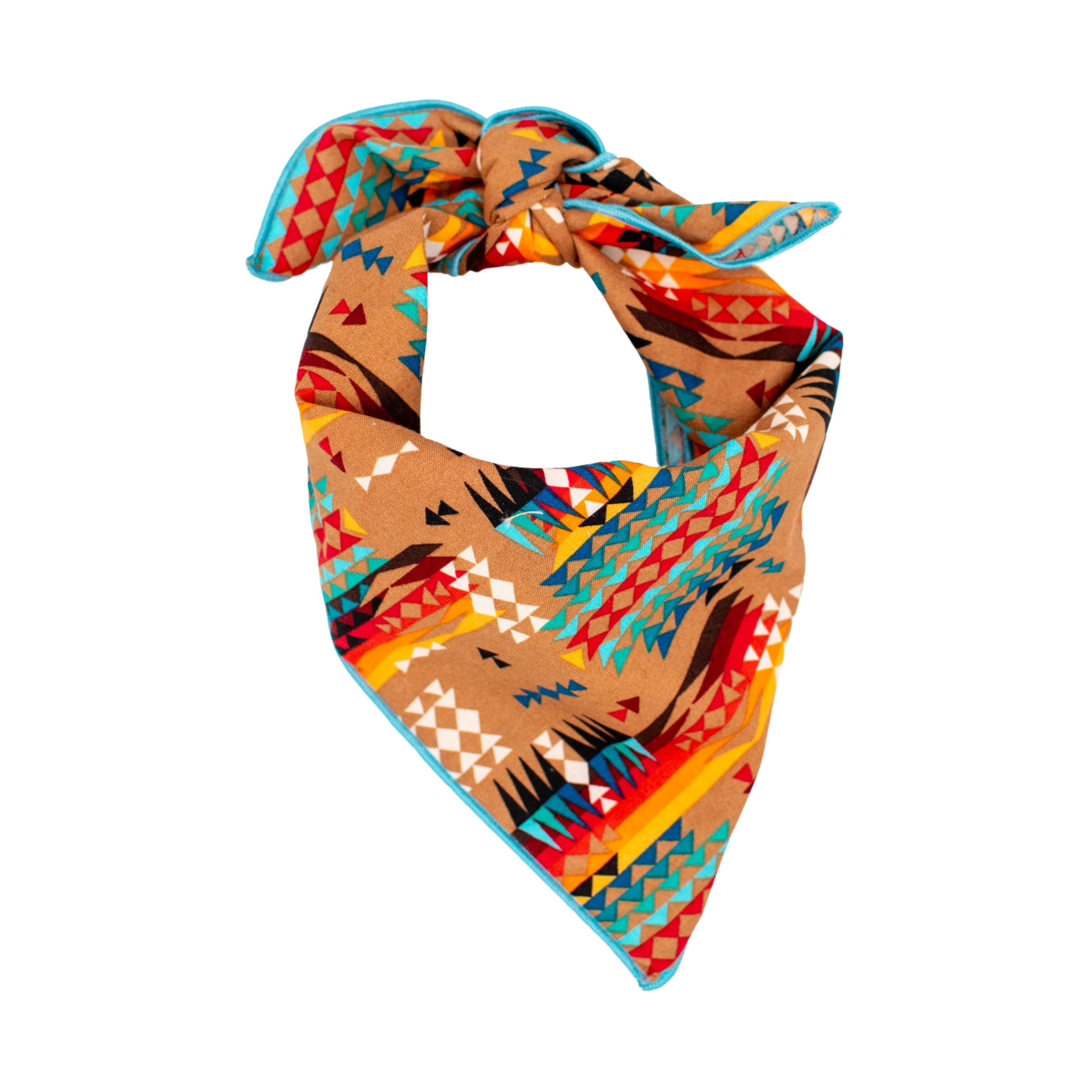 The Oxford Dog - Southwest Desert Dog Collar handmade by The Oxford Dog: Black Plastic / LARGE