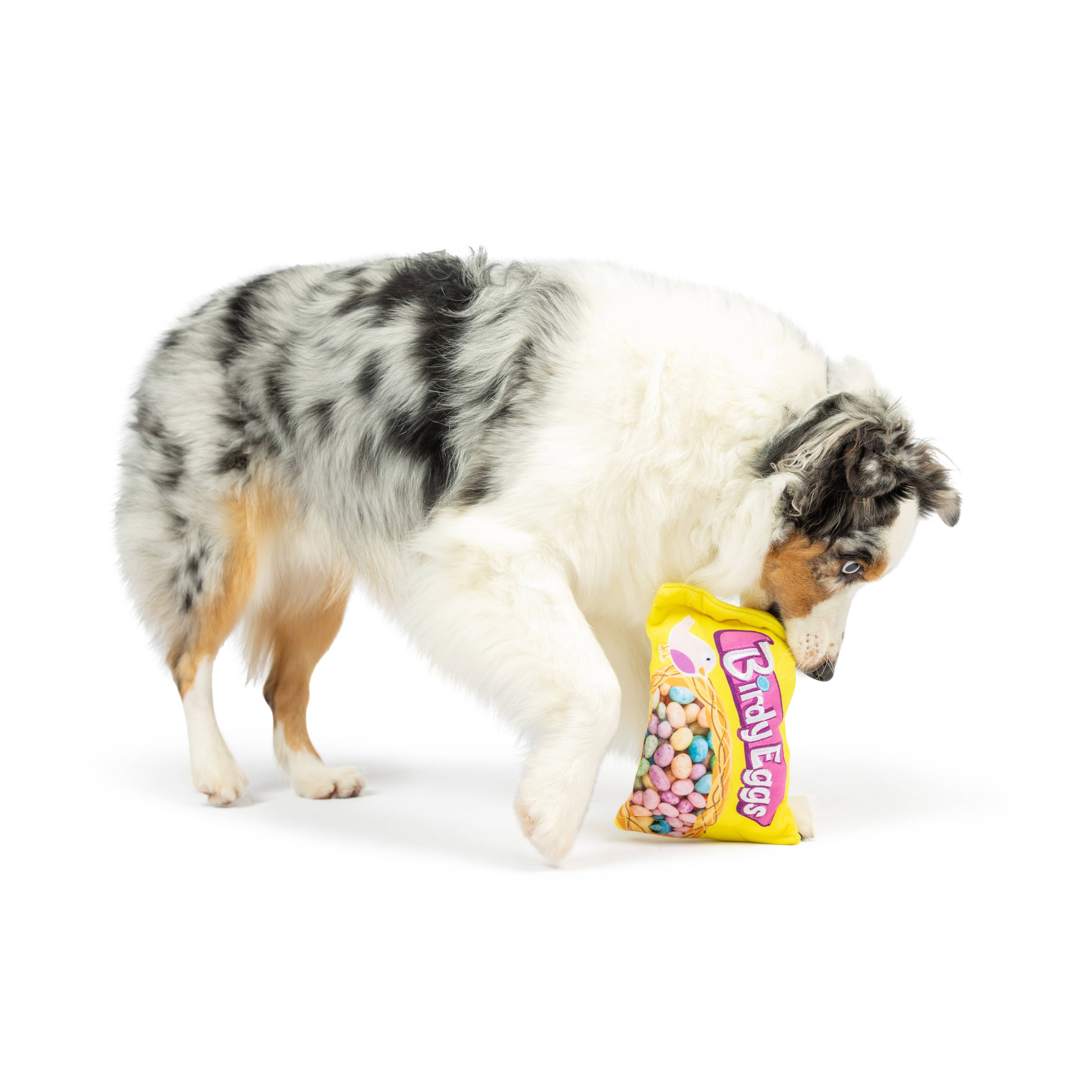 Huxley & Kent - Birdy Eggs Dog Toy: Large