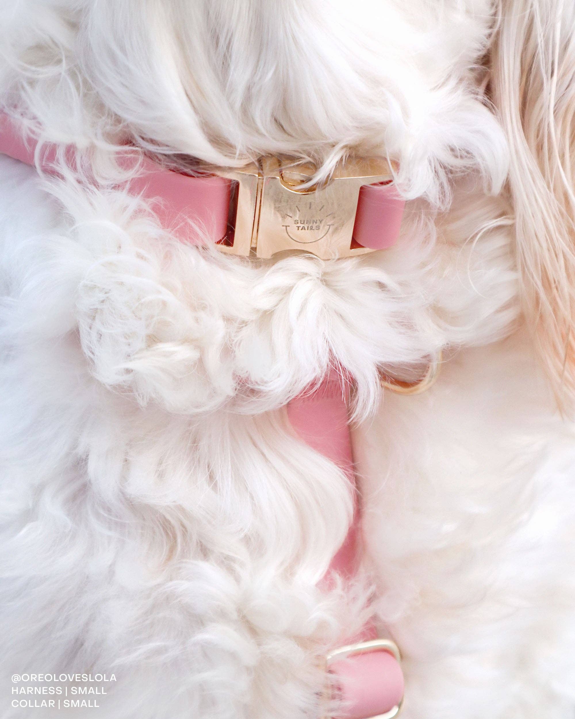SUNNY TAILS - Perfect Pink Waterproof Dog Collar: SMALL