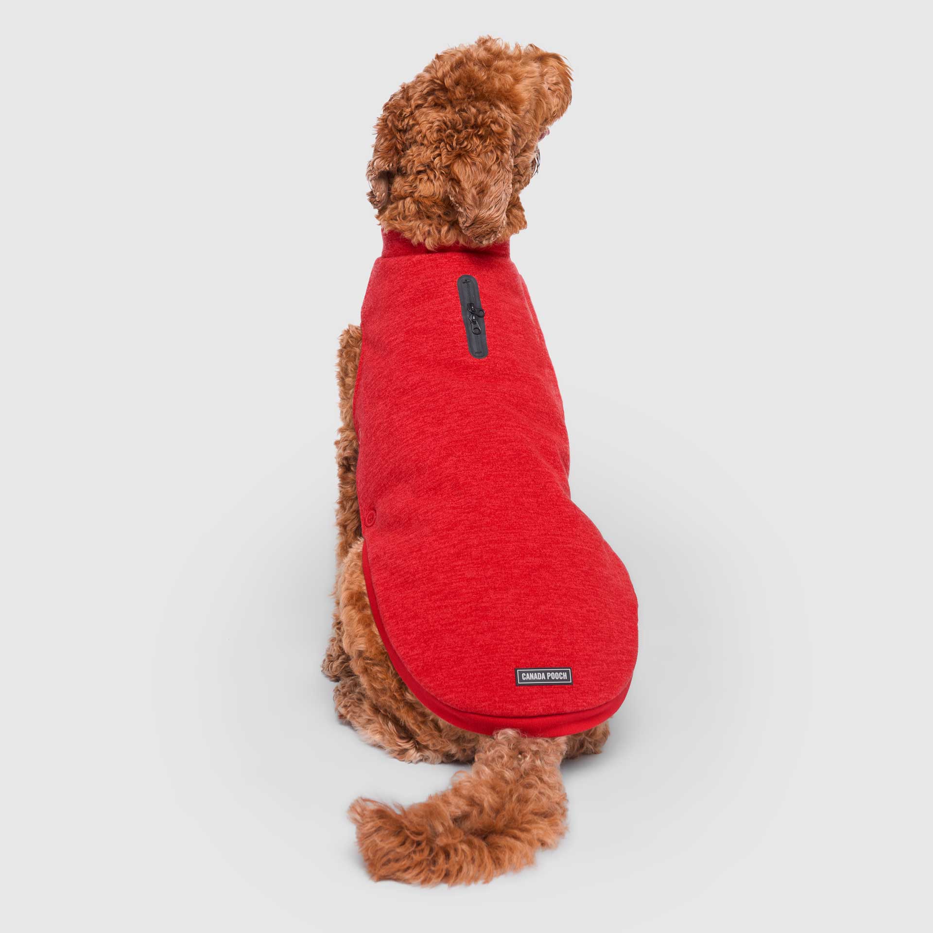 Canada Pooch - Waterproof Sweater- Dog Sweater: Gray / 12