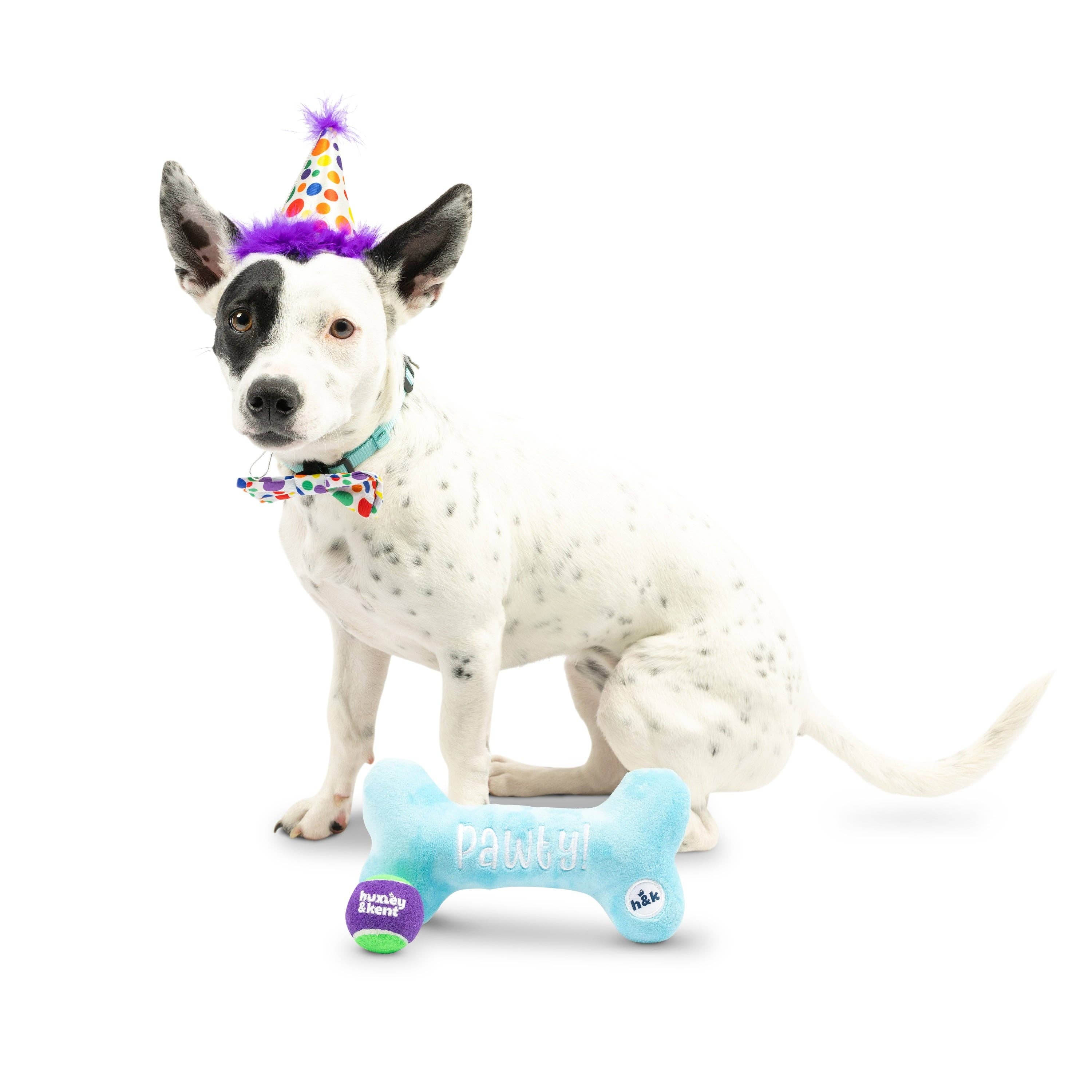 Huxley & Kent - Happy Barkday Celebration Box: Small