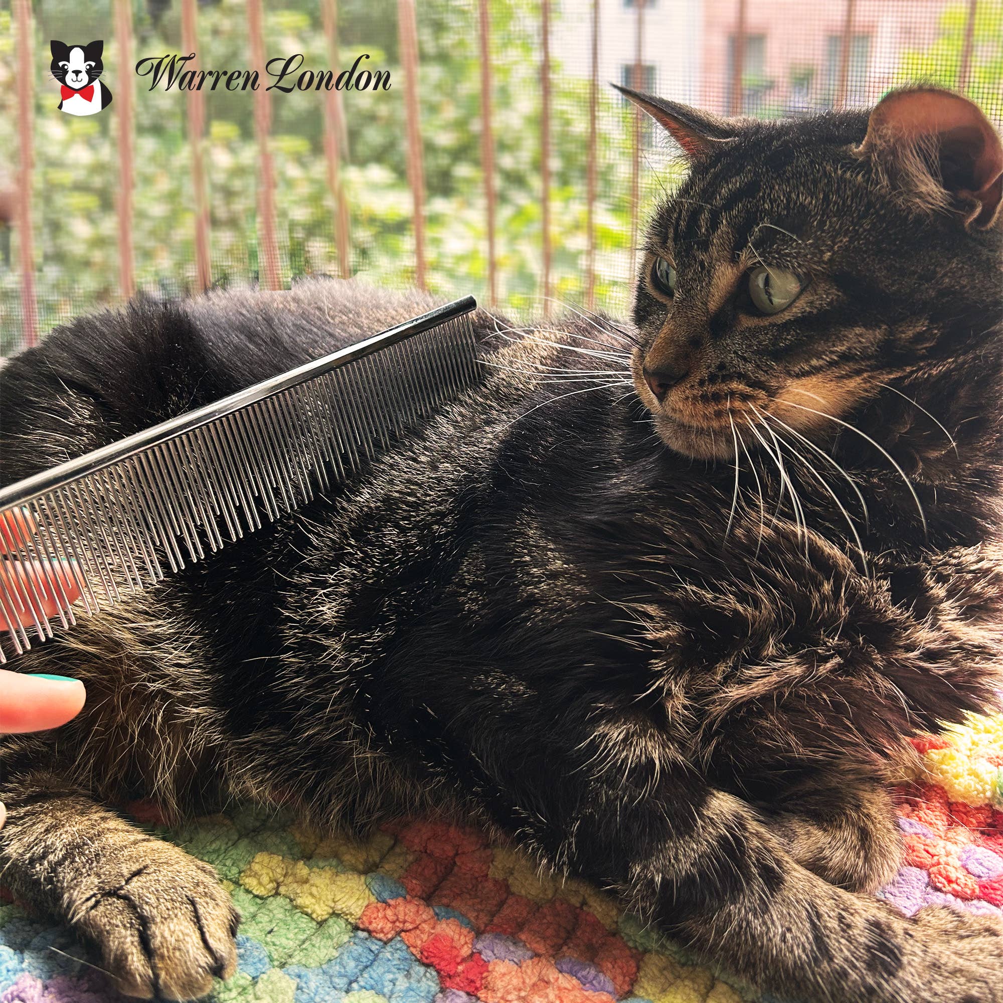 Warren London Dog Products - Carding Comb for Cats 7.5" - Gentle and Effective Grooming