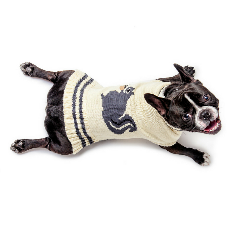 fabdog - Squirrel Dog Sweater: 18 