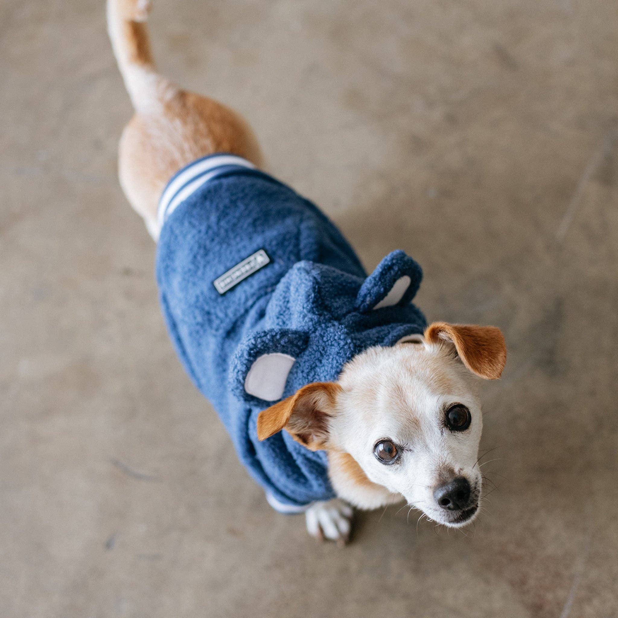 Frenchie - Frenchie Dog Hoodie - Blue Teddy: L