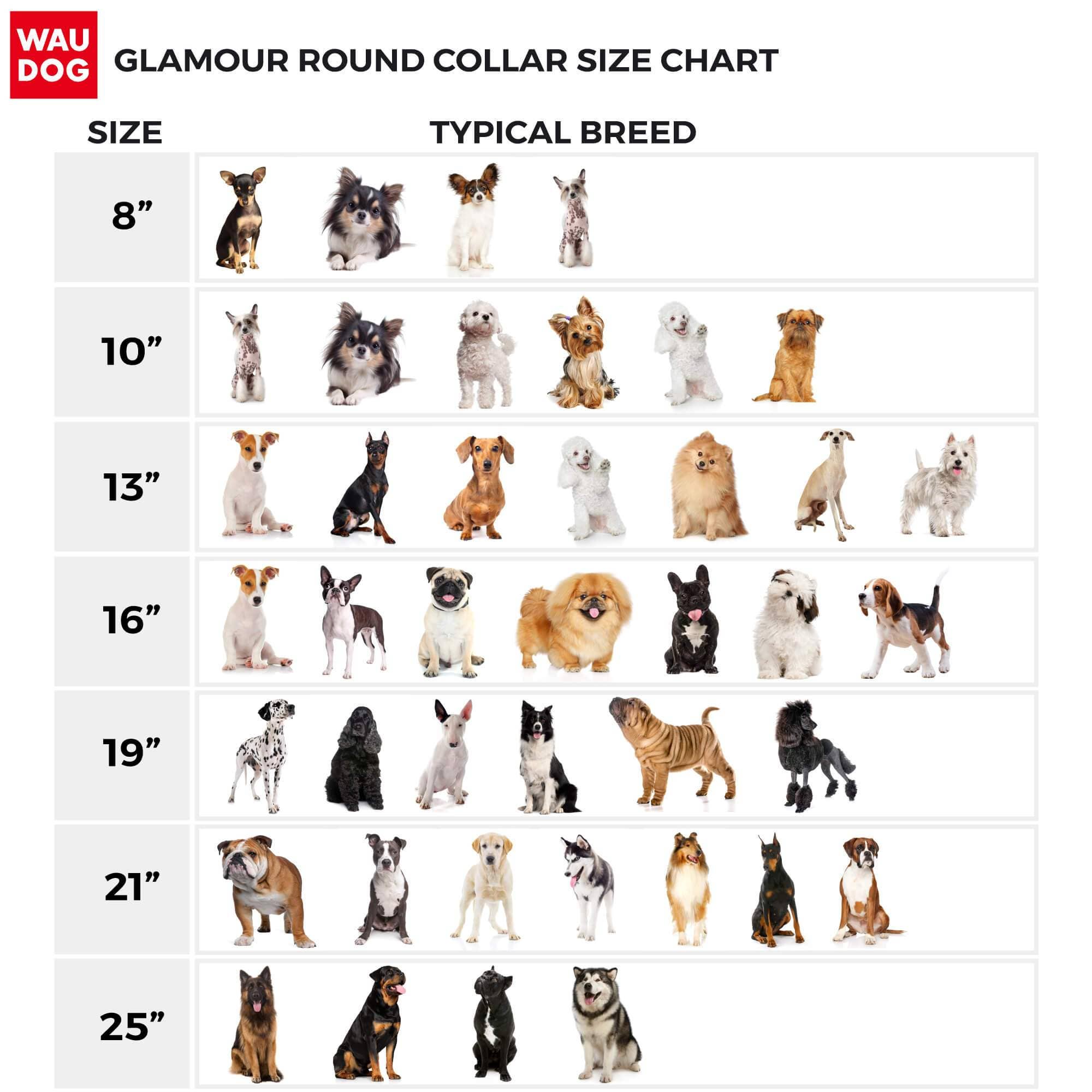 WAUDOG - Glamour Reinforced Rolled Leather Collar With Metal Clasp: L 21 in / Black