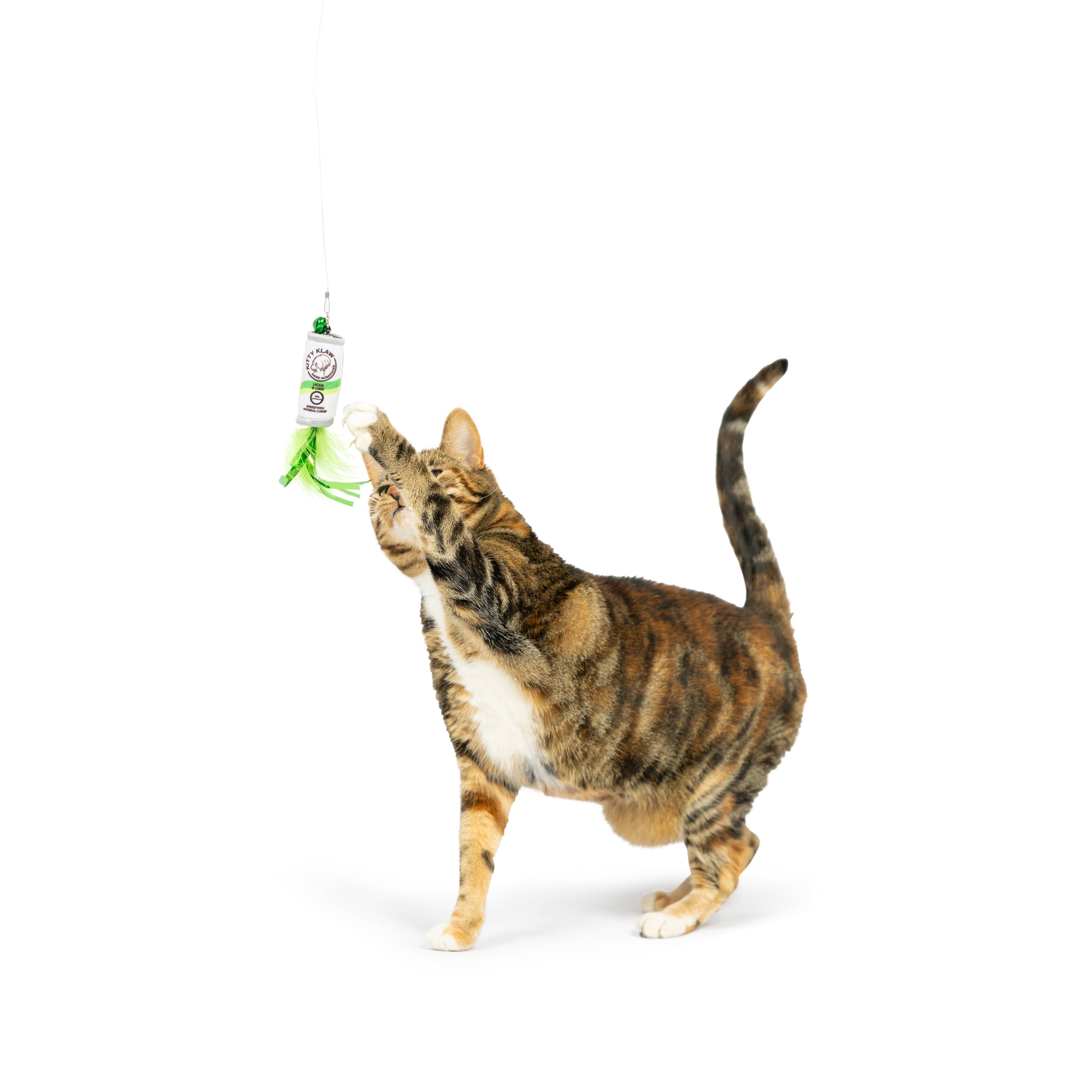 Huxley & Kent - Kitty Klaw Lime Teasers 2pk Cat Wand Refill: One Size