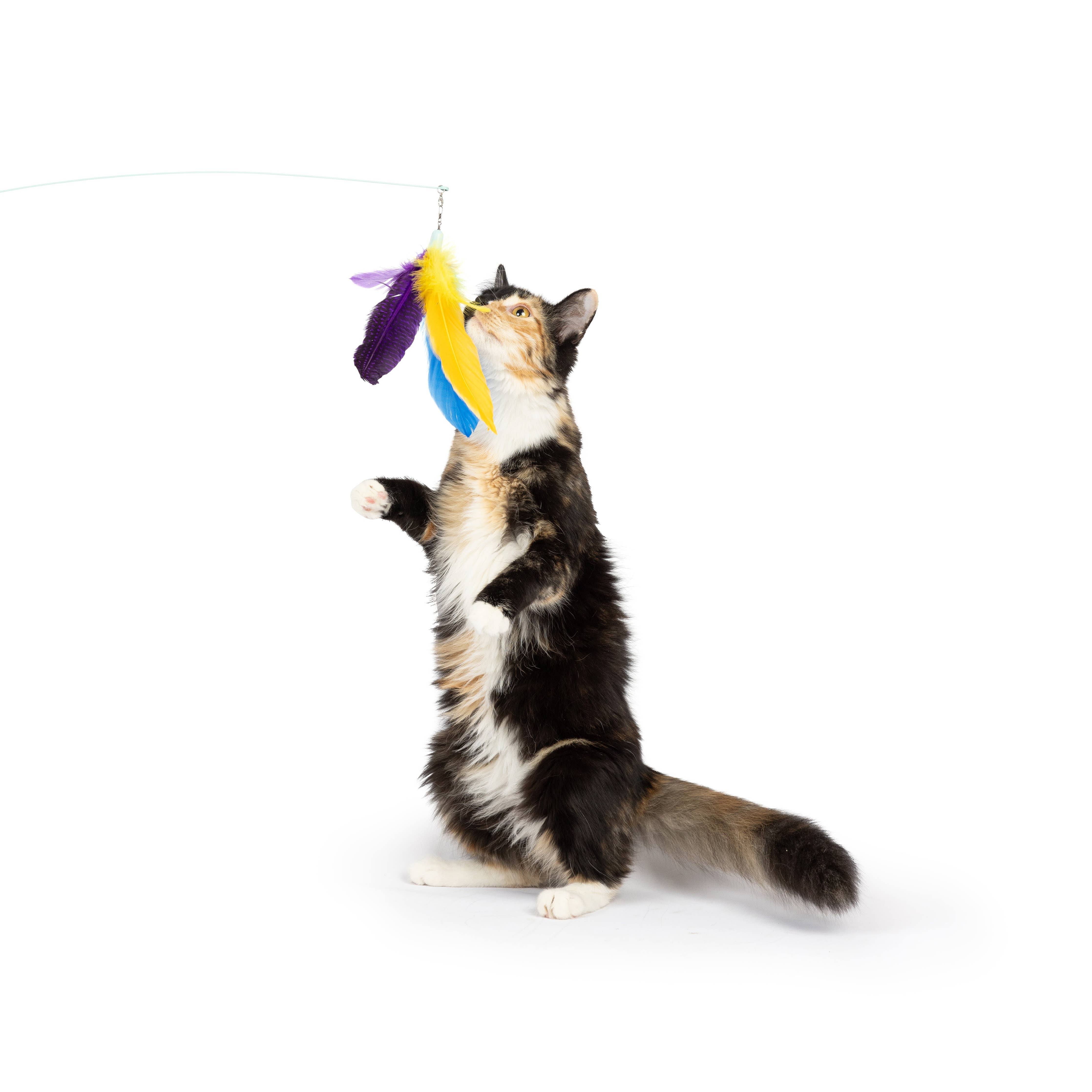Huxley & Kent - Purple Fishy Feather Teasers 2pk Refill Cat Toy: One Size