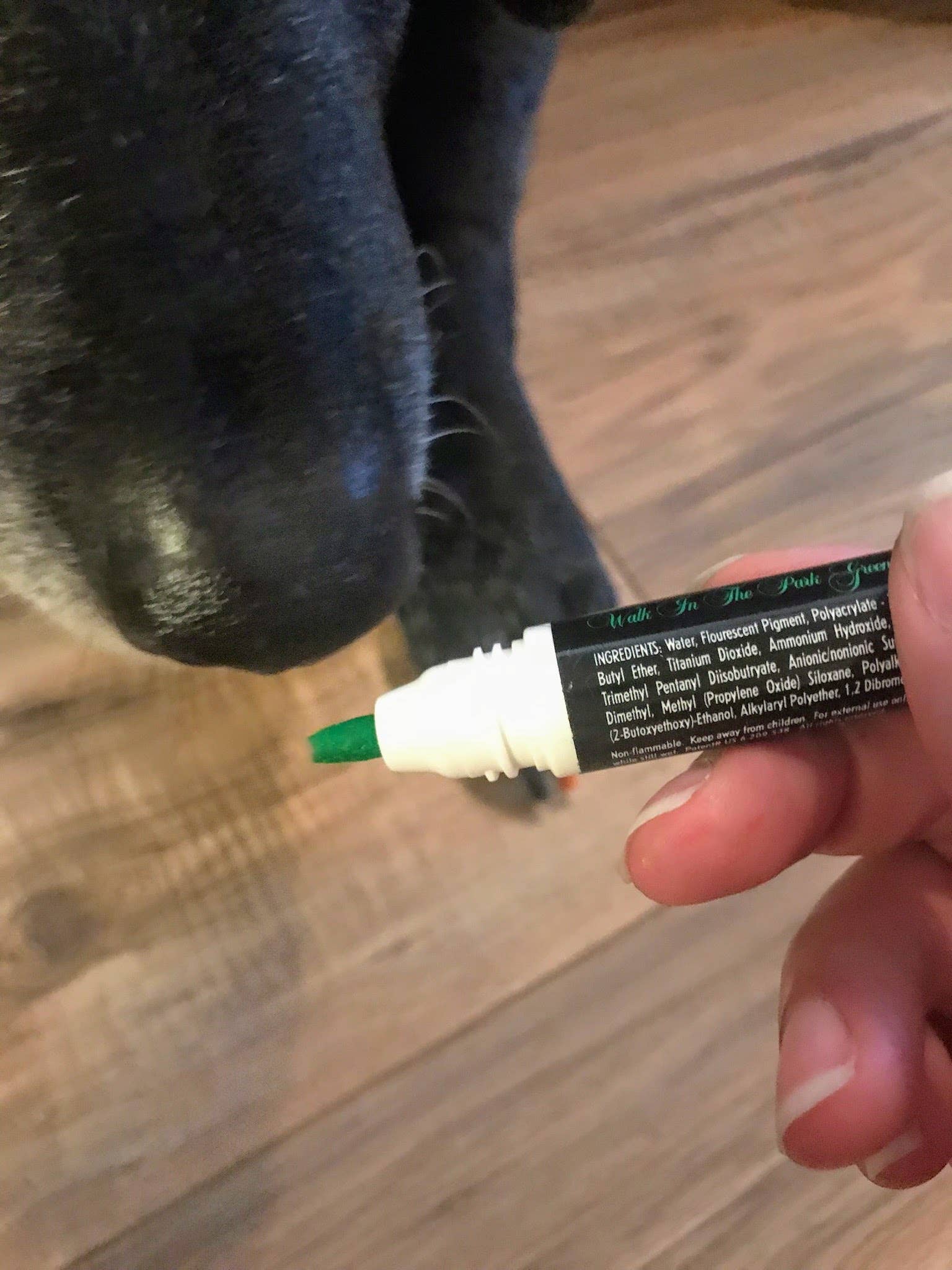 Warren London Dog Products - Pawdicure Nail Polish Pen - Quick Dry - 13 Colors: Neon Green