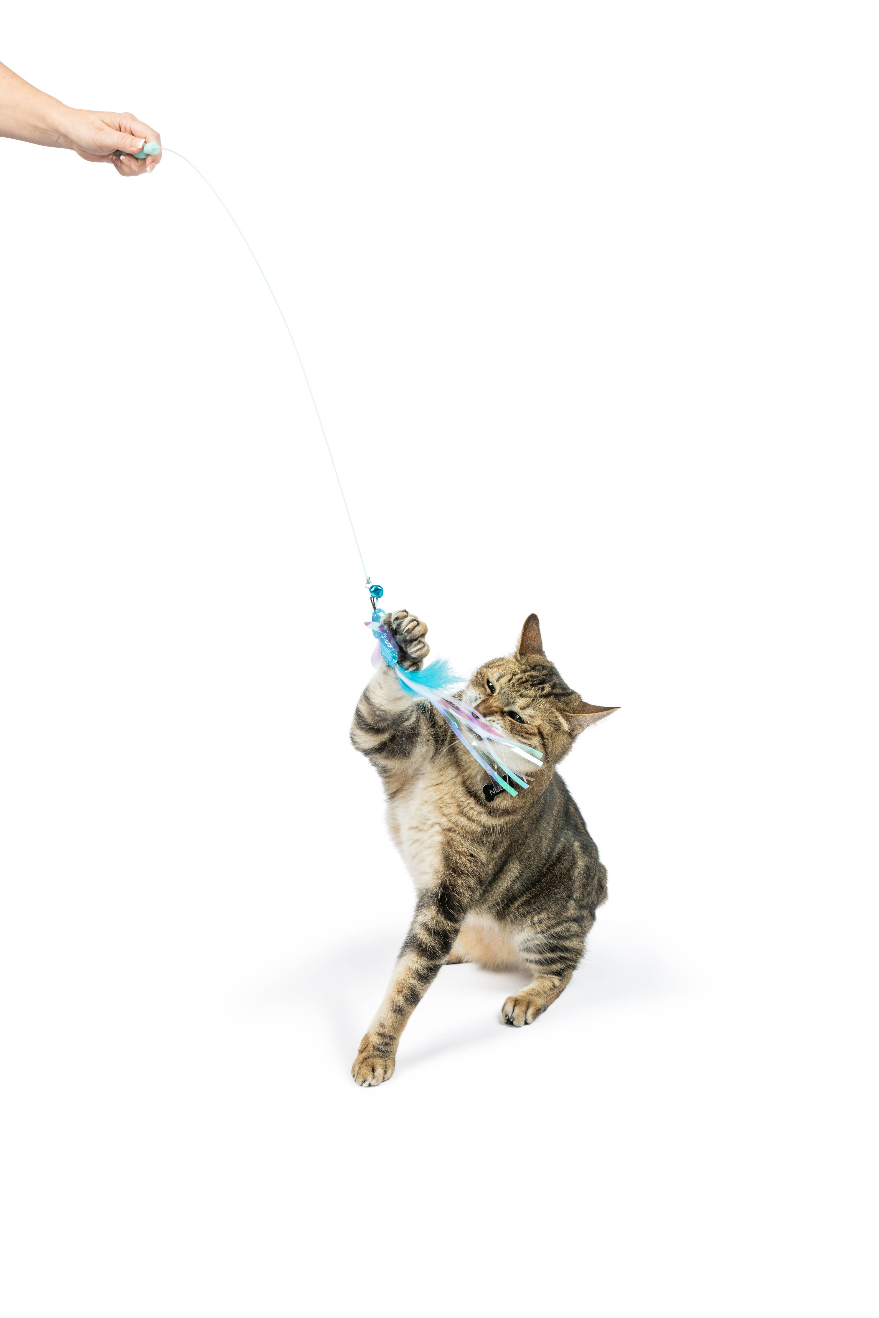 Huxley & Kent - Wire Dragonfly & Mouse Wand Cat Toy: One Size