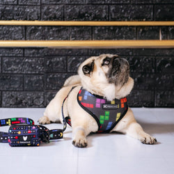 Frenchie - Frenchie Duo Reversible Harness - Arcade: M