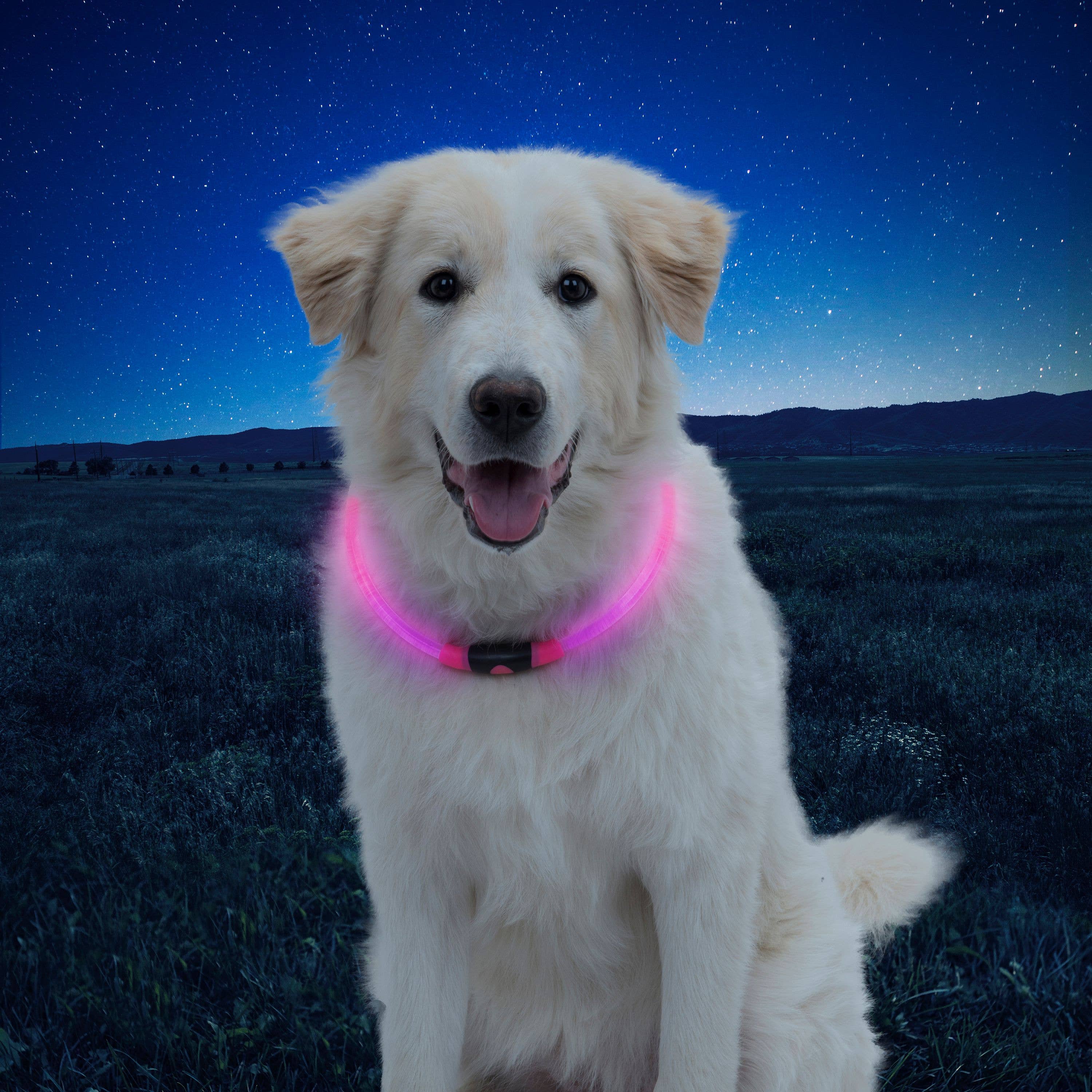 Pet Palette Distribution - Nite Ize NiteHowl LED Safety Necklace - Tie Dye Pink