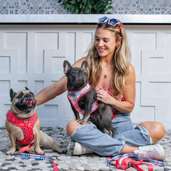 Frenchie - Frenchie Duo Reversible Harness - Red, White, and Paisley: M