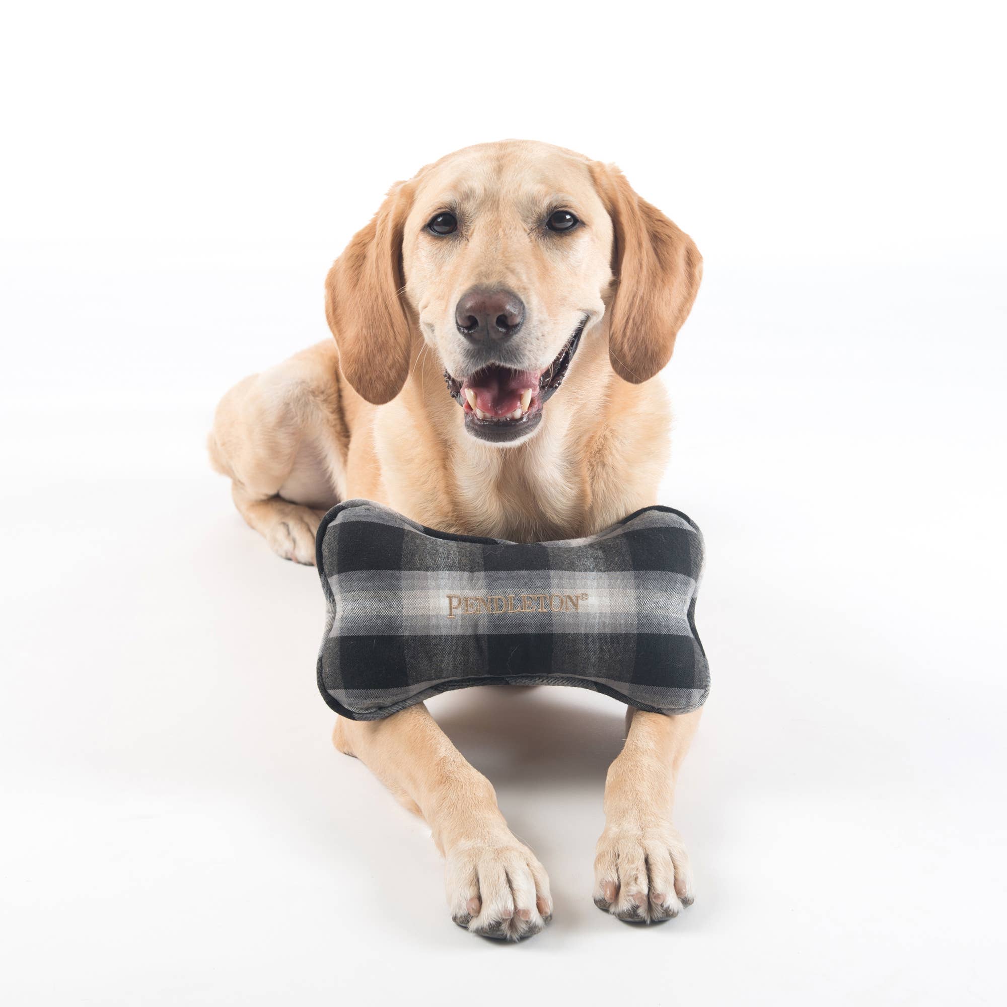 Pendleton Plaid Plush Bone Toy with Squeaker: Grey Stewart Plaid