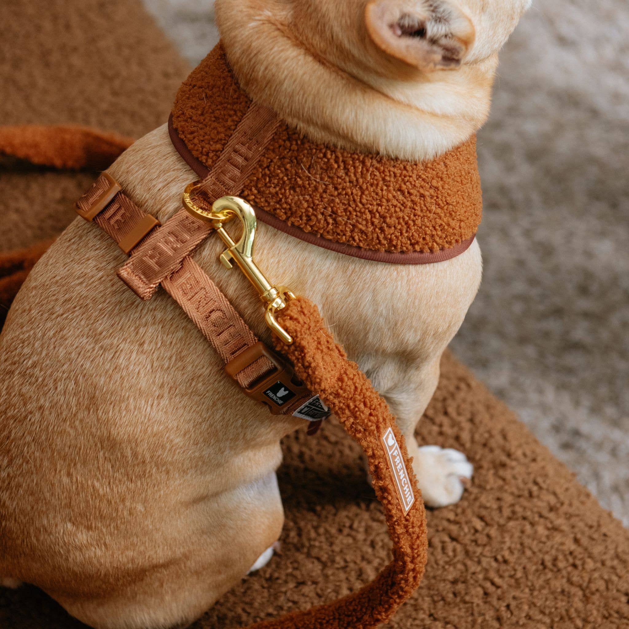 Frenchie - Frenchie Duo Reversible Harness - Teddy Brown: XS