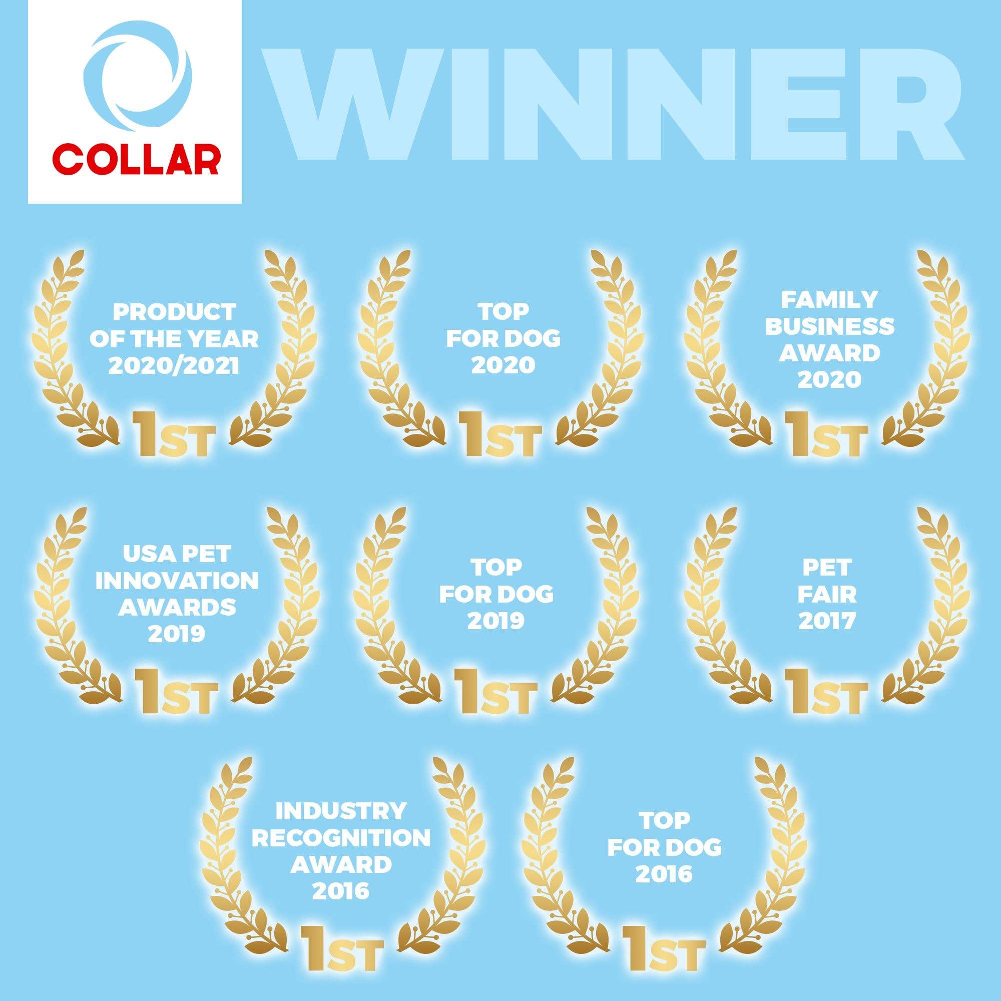 WAUDOG - Glamour Reinforced Rolled Leather Collar With Metal Clasp: L 21 in / Black