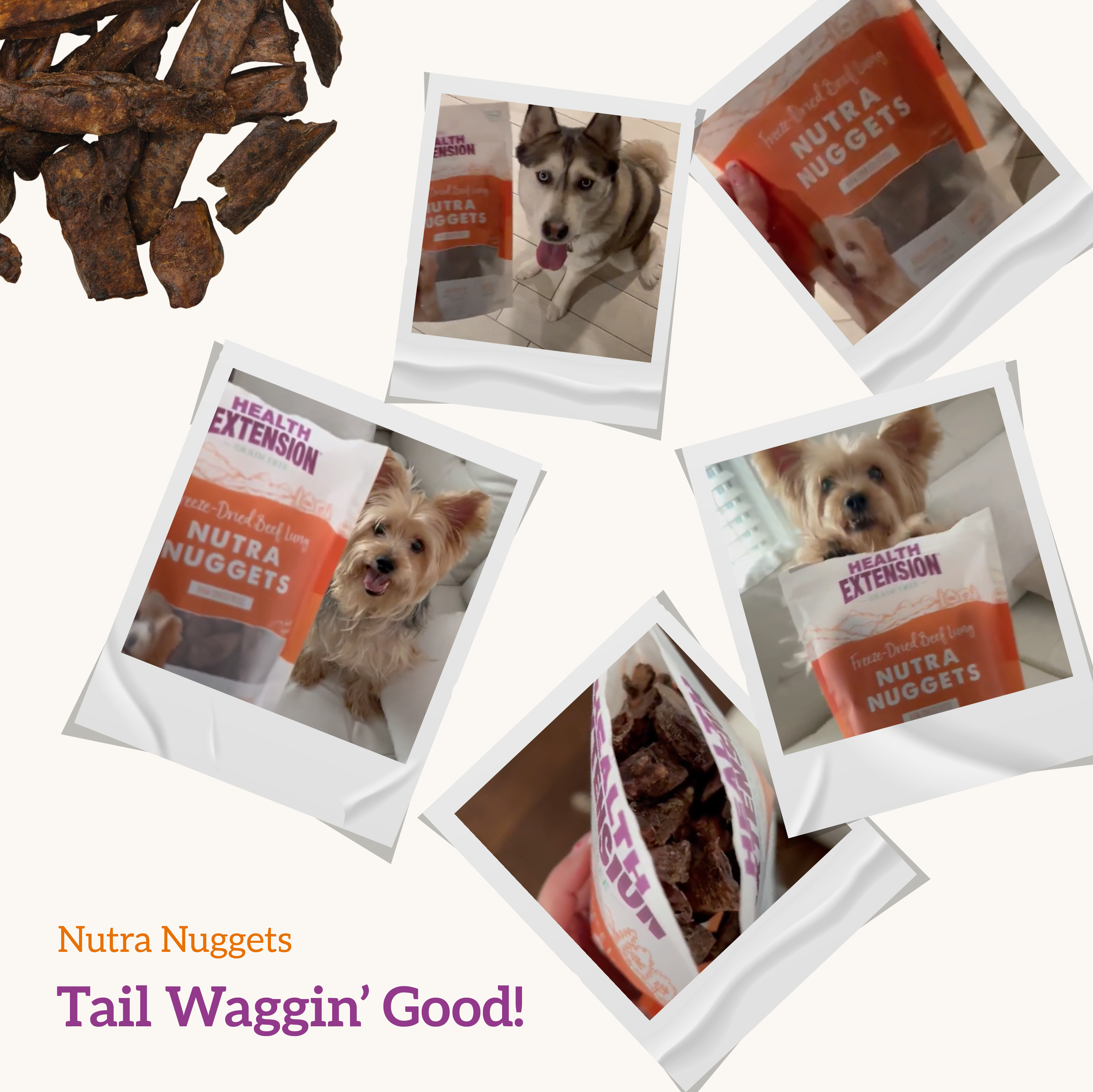 Health Extension Pet Care - Freeze Dried Nutra Nuggets: One Size