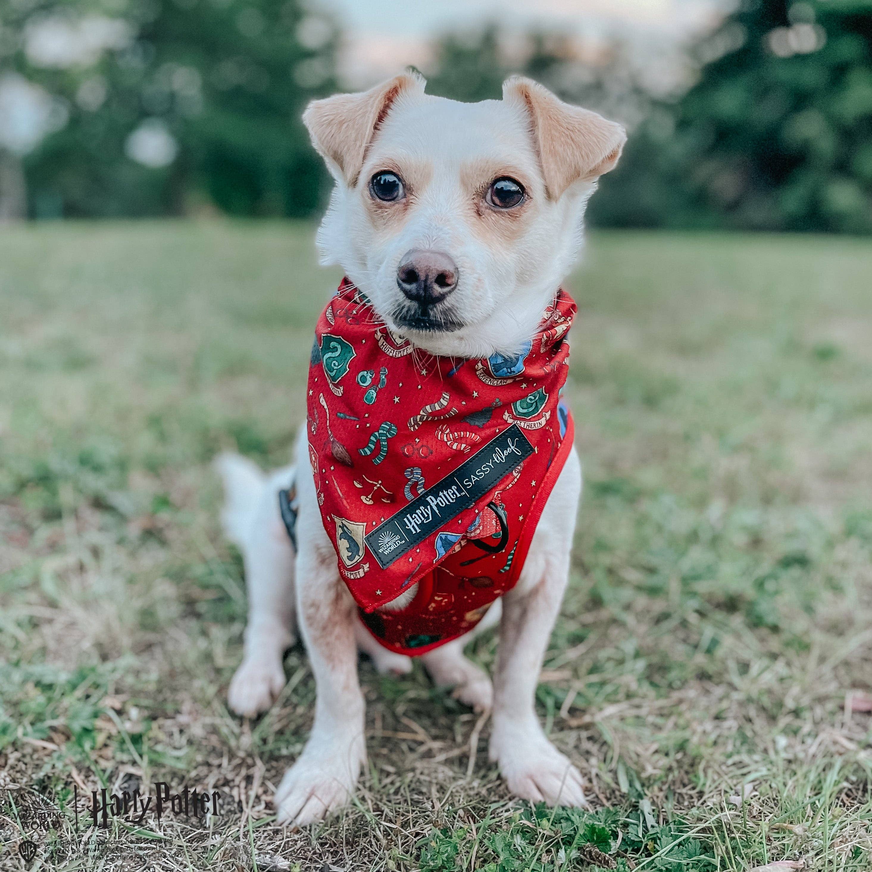 SASSY WOOF - Dog Bandana - Harry Potter™: Medium