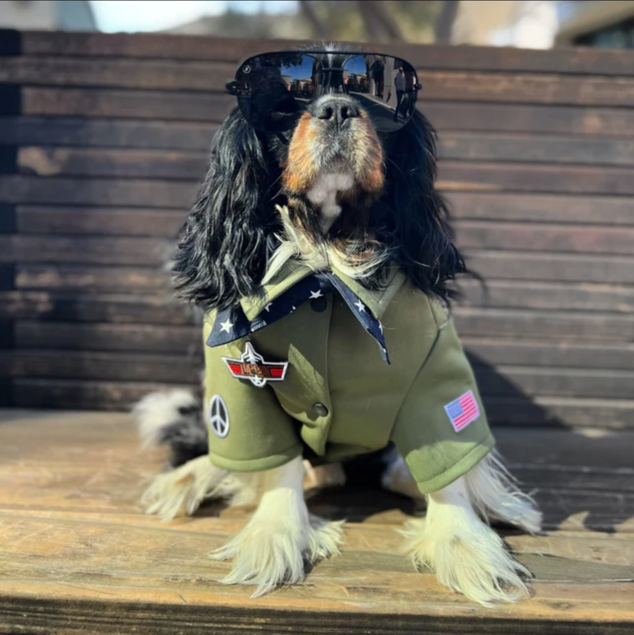 Icecreamtree Studio - Top Gun Look Outfit Pilot Shirt, Scarf Set - Dog Cat Costume: Small