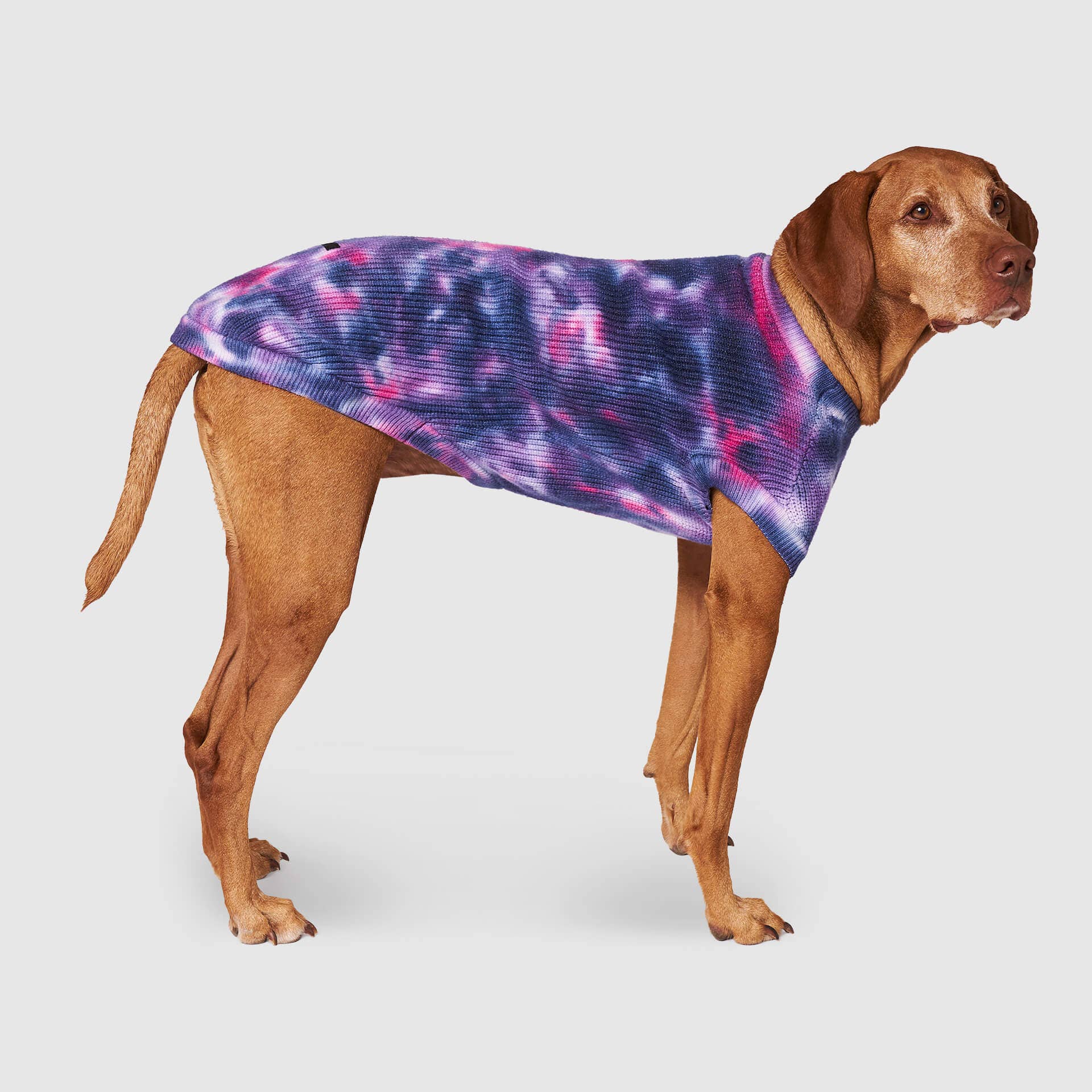 Canada Pooch - Wild Side Sweater- Dog Sweater: Purple Tie Dye / 16