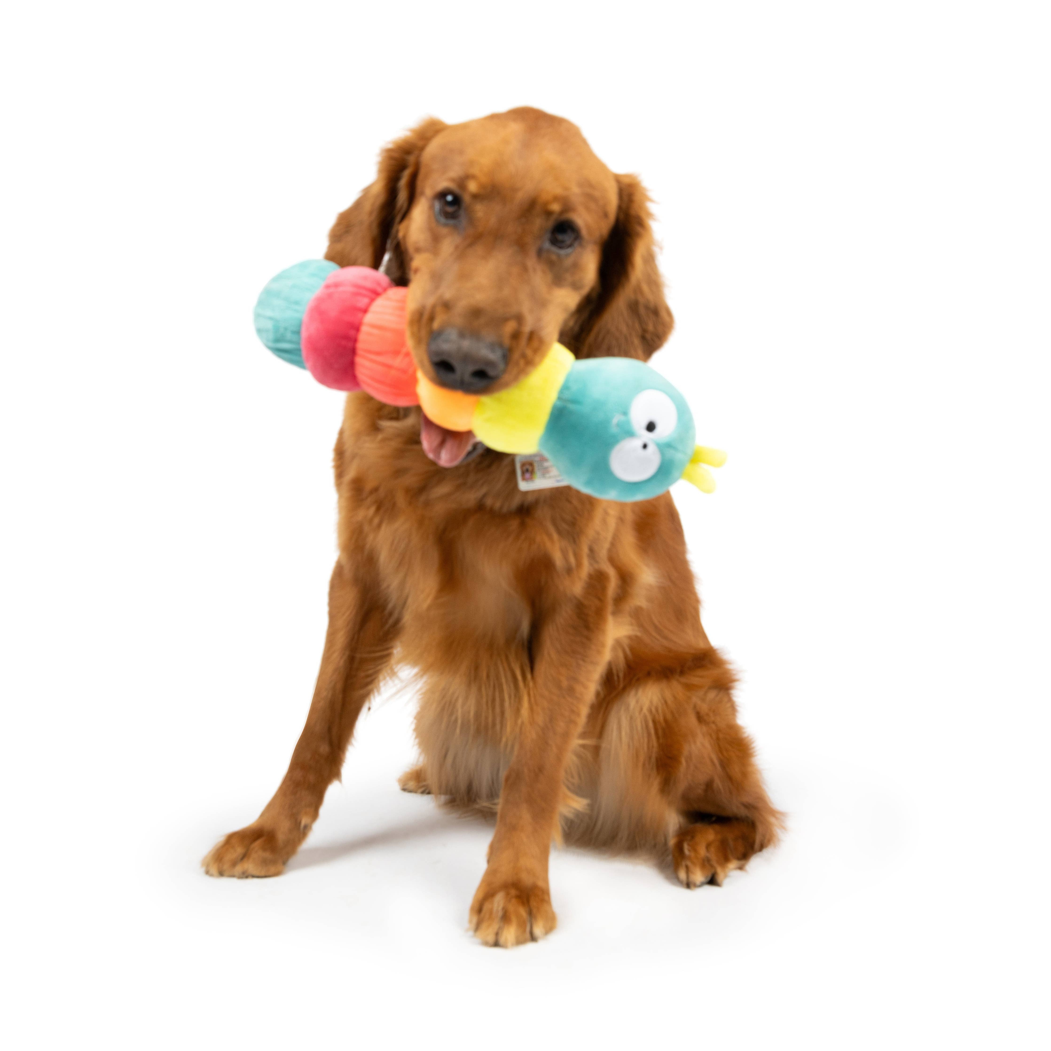 Huxley & Kent - Fetchies® Caterpillar Dog Toy: Large