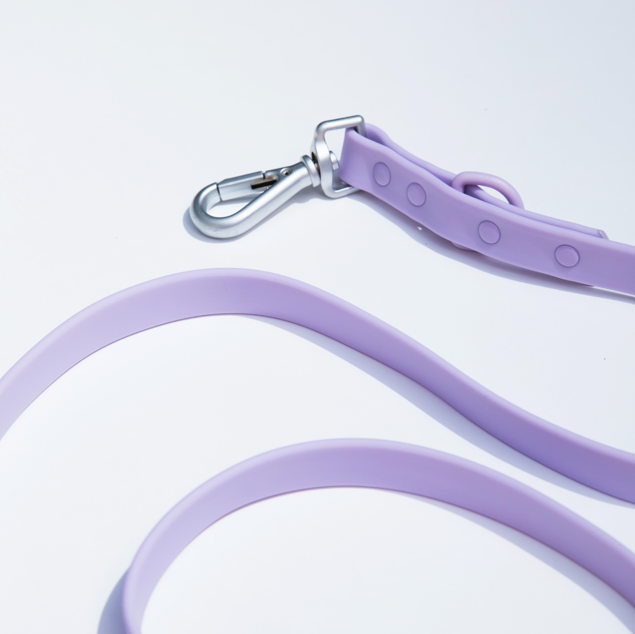 dogged - Dogged basics leash - lavender: Standard