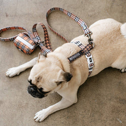 Frenchie - Frenchie Strap Harness - Tan Tartan: OS