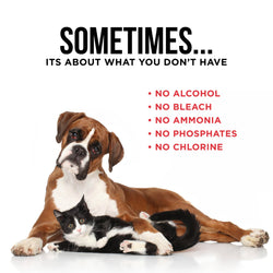 The Only Pet Stain & Odor Remover You Need: 32 ounce