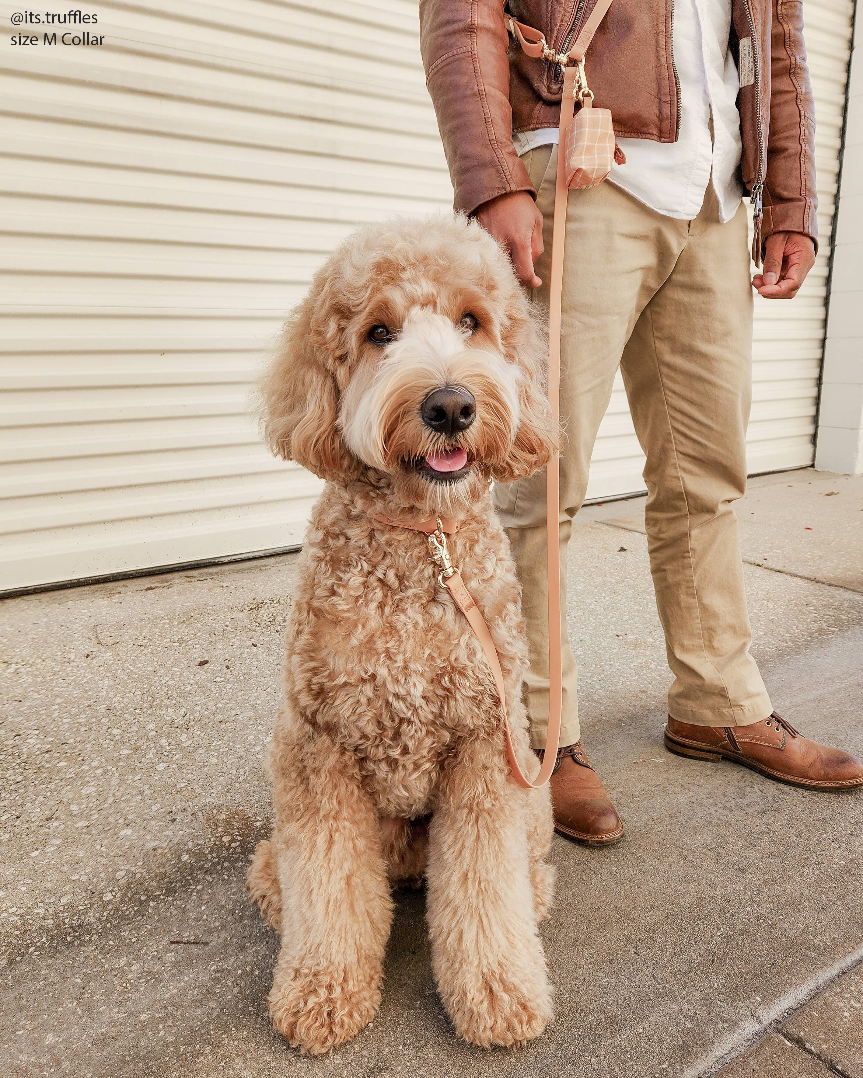 SUNNY TAILS - Chai Brown 4-in-1 Convertible Hands Free Cloud Dog Leash: Standard