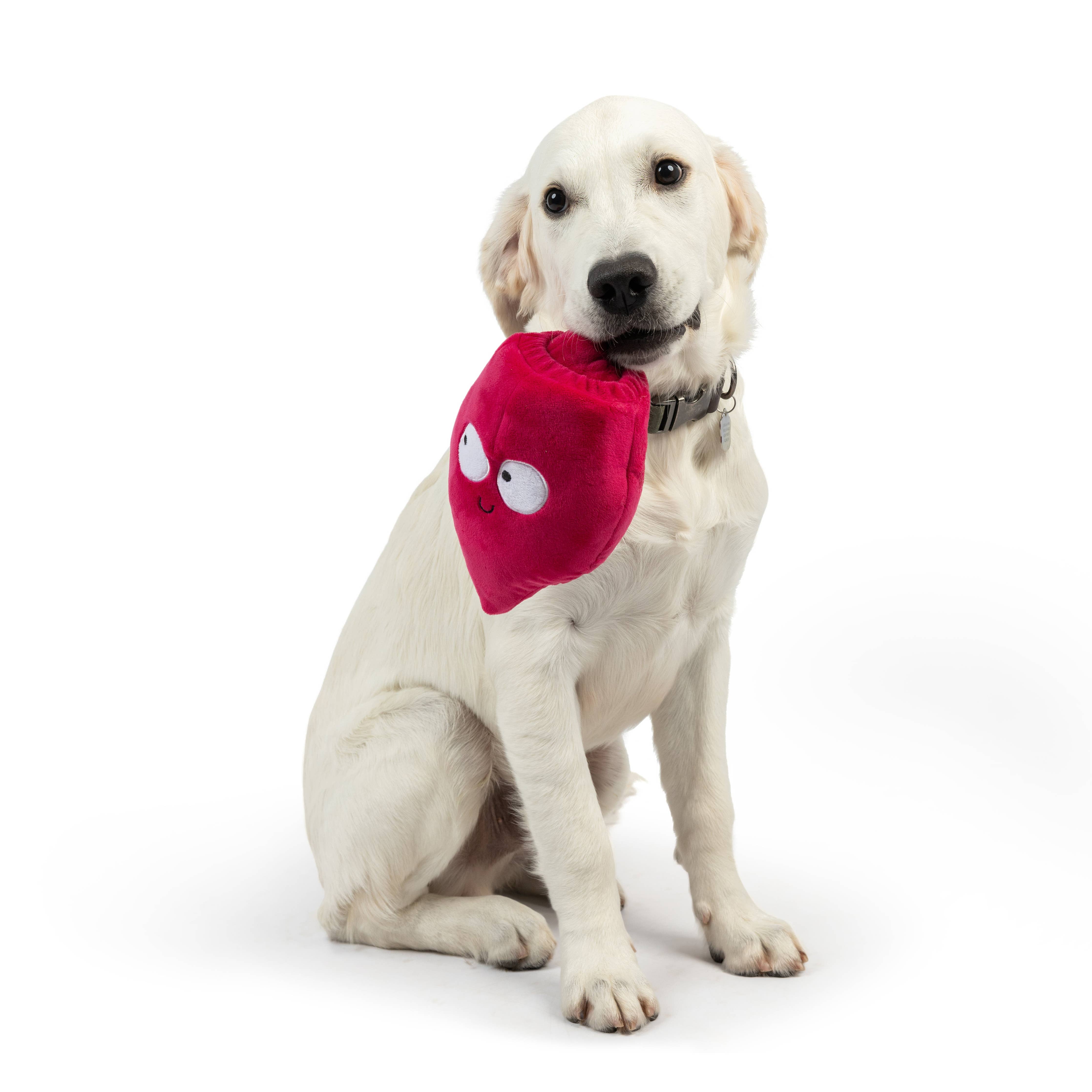 Huxley & Kent - Pop 'n Fetch Beet Dog Toy: Small