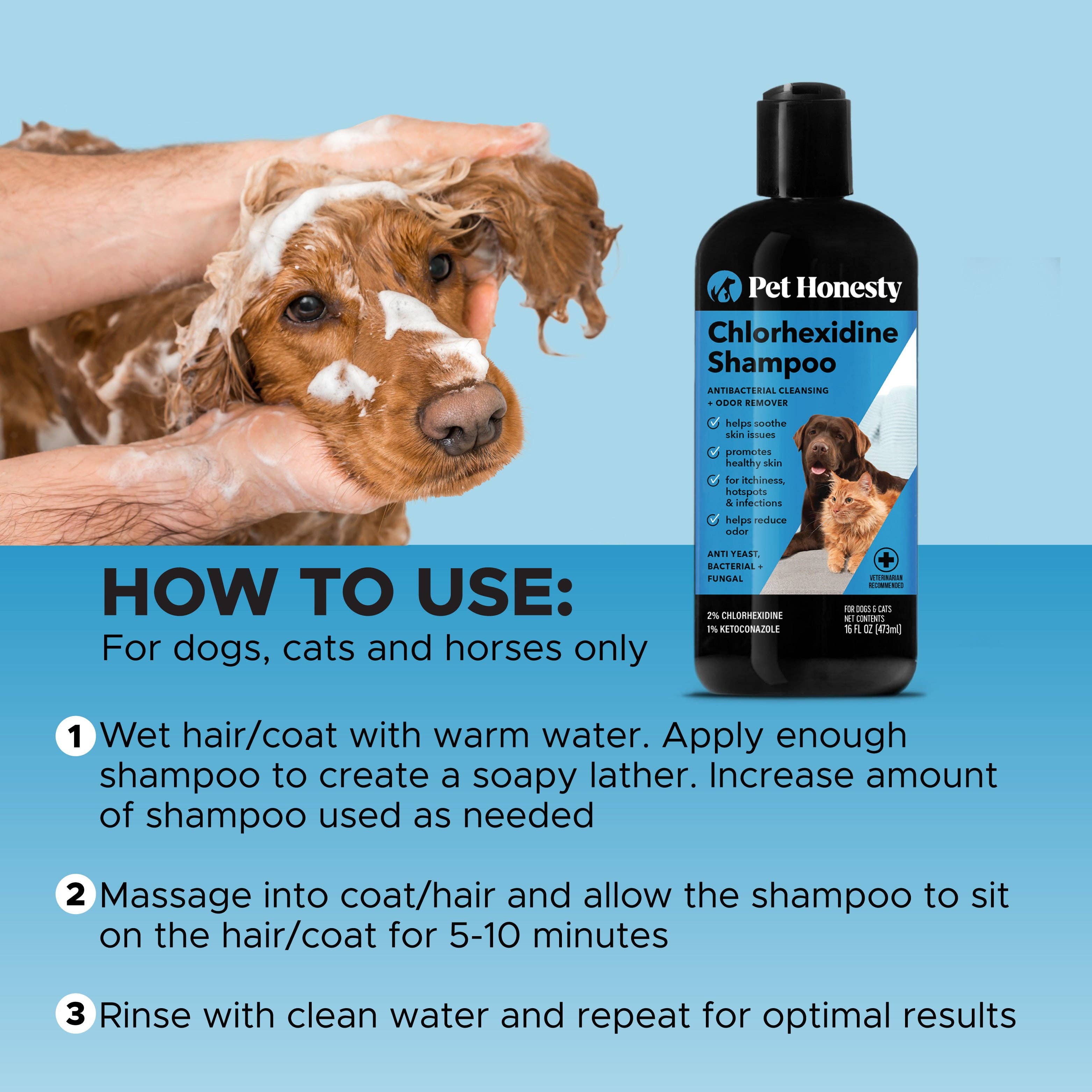 Pet Honesty - Chlorhexidine Shampoo (16 Ounce)