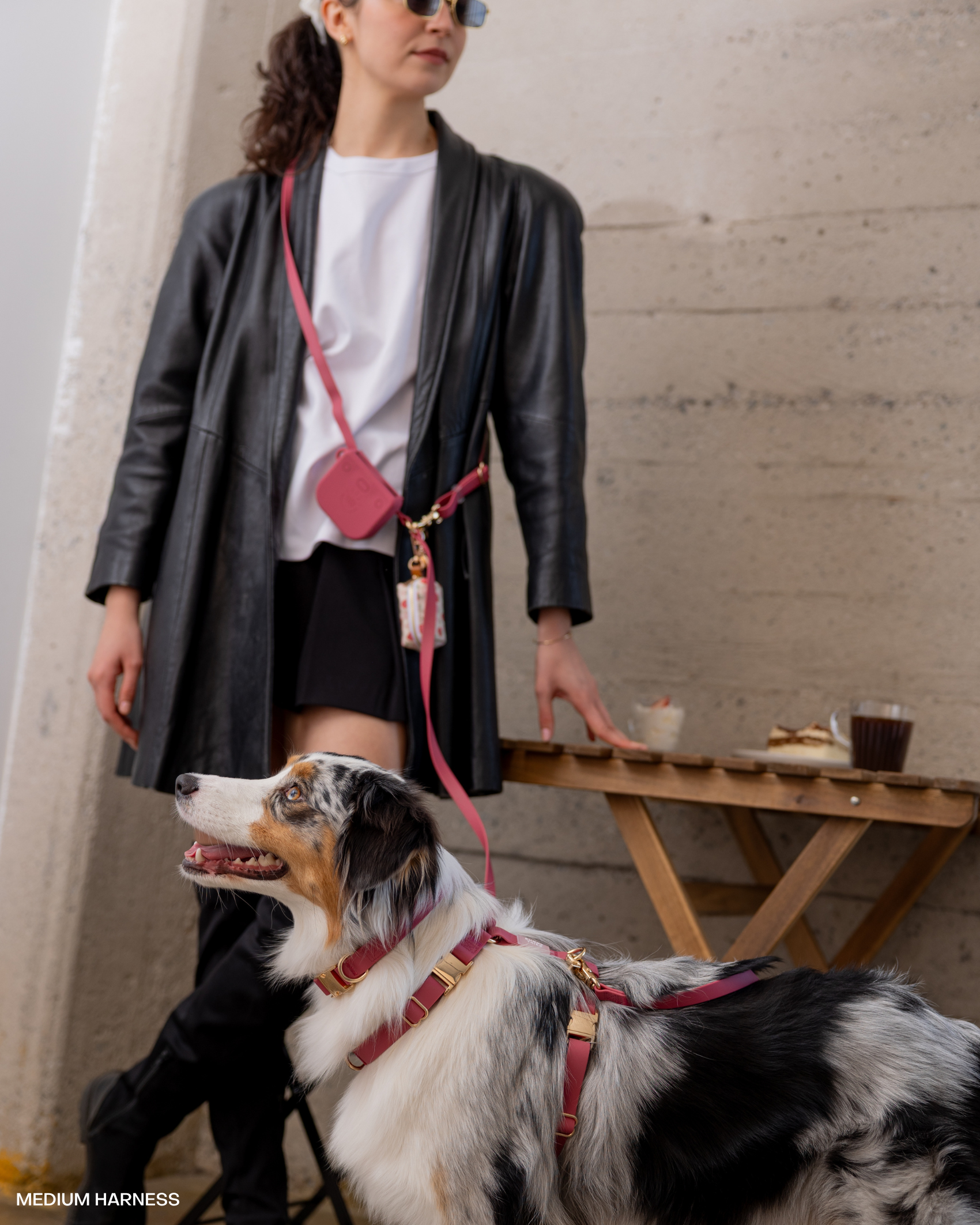 SUNNY TAILS - Mulberry Burgundy Waterproof Dog Collar: MEDIUM