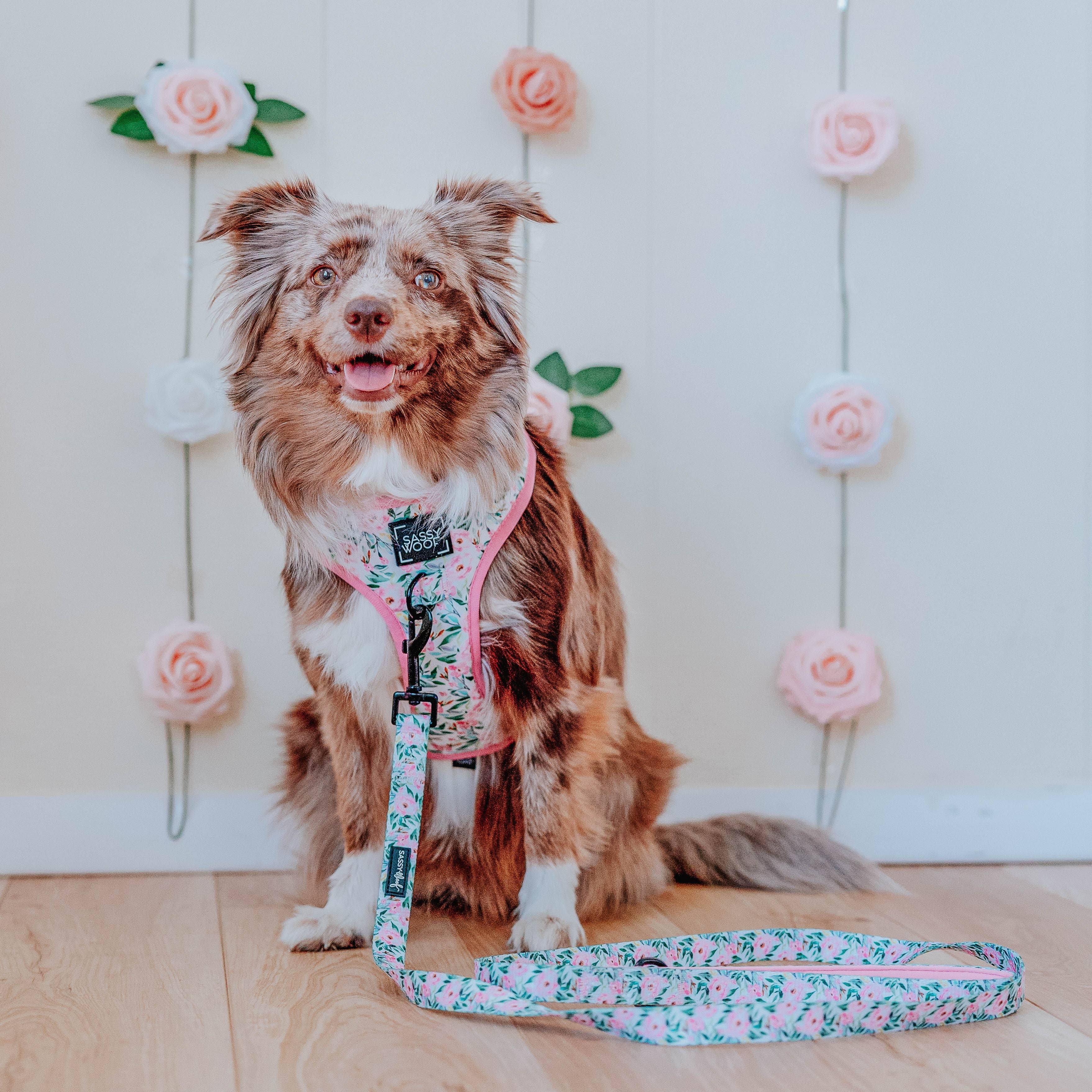 SASSY WOOF - Dog Adjustable Harness - Magnolia: XL